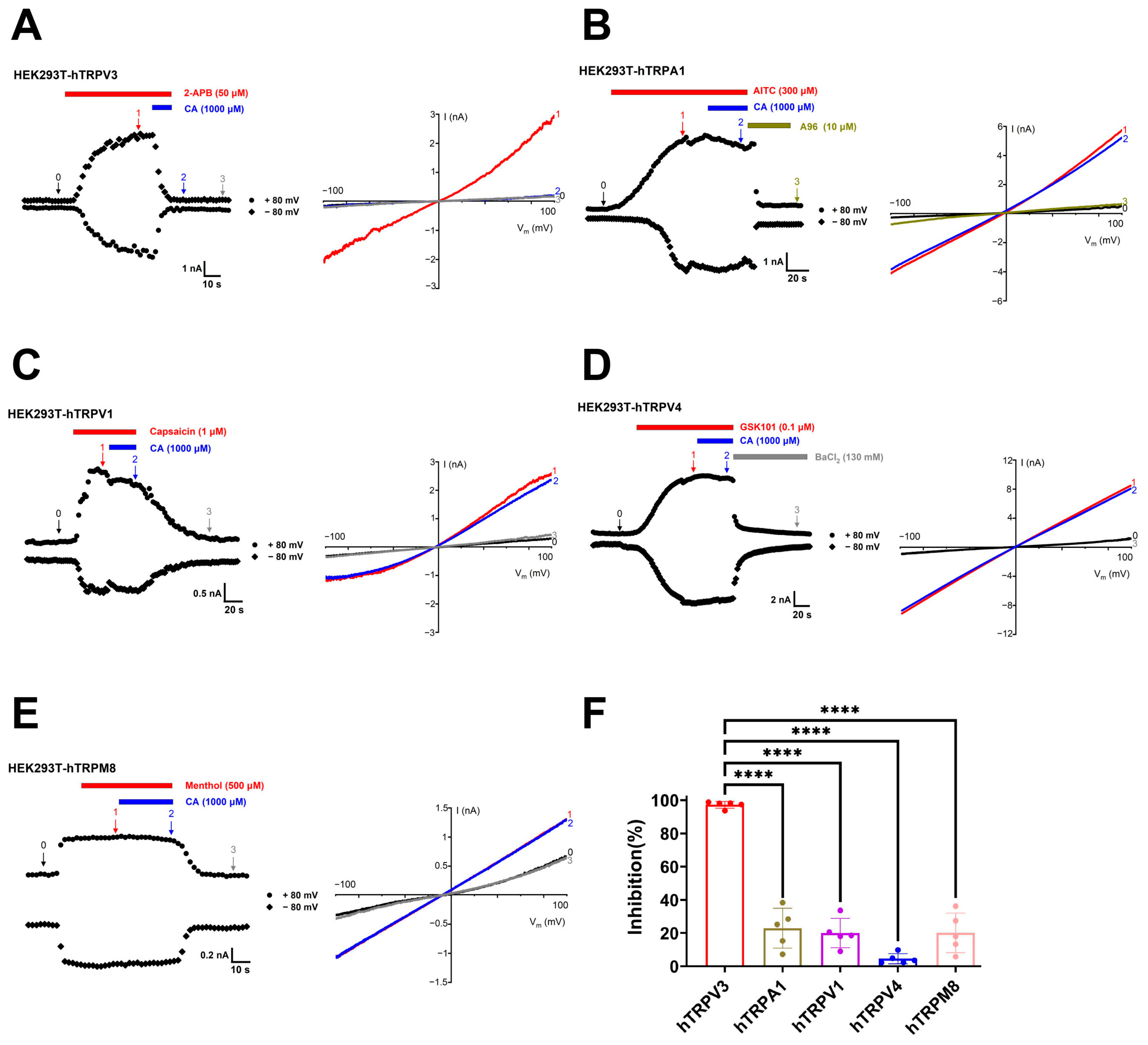 Molecules 29 03728 g004