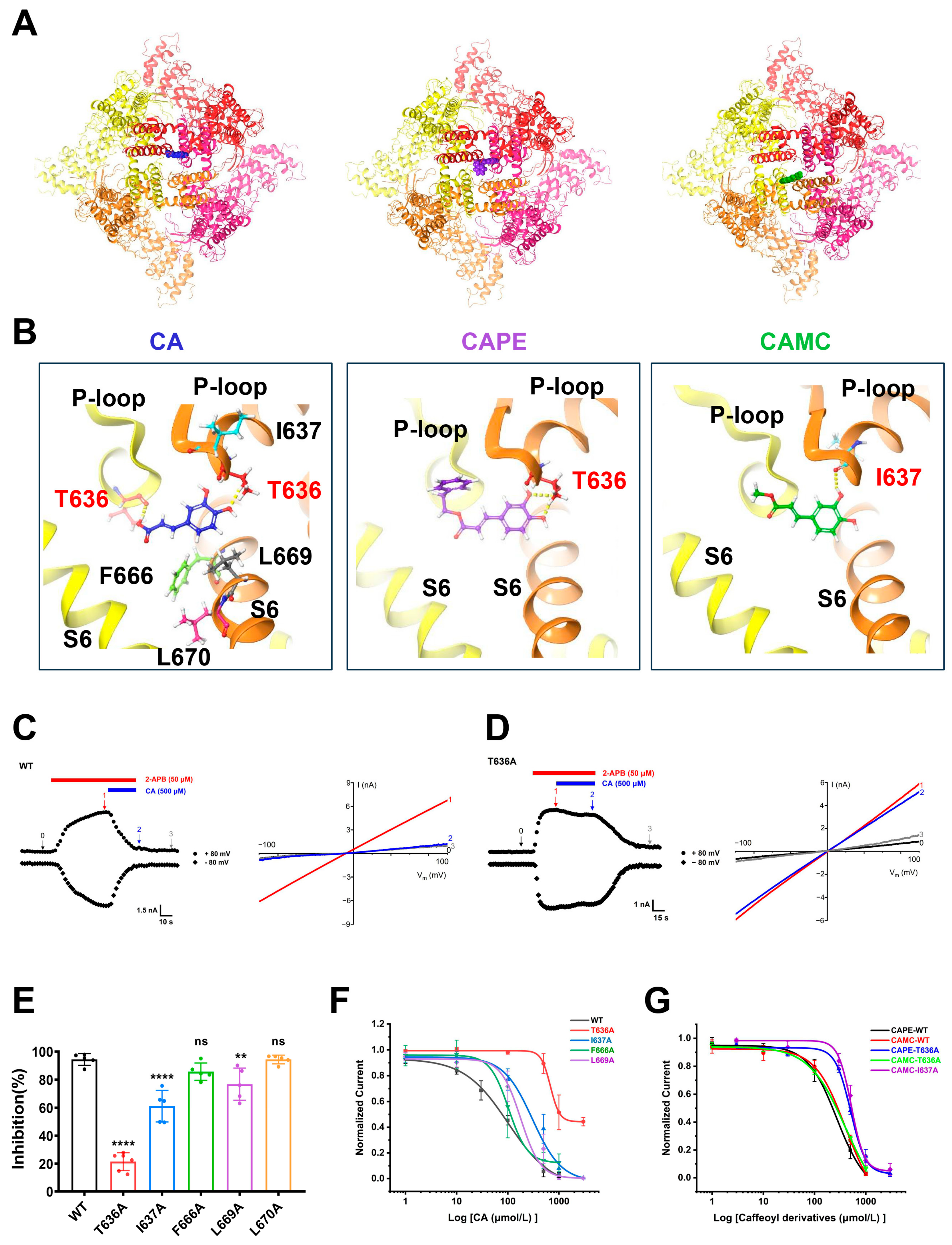 Molecules 29 03728 g005