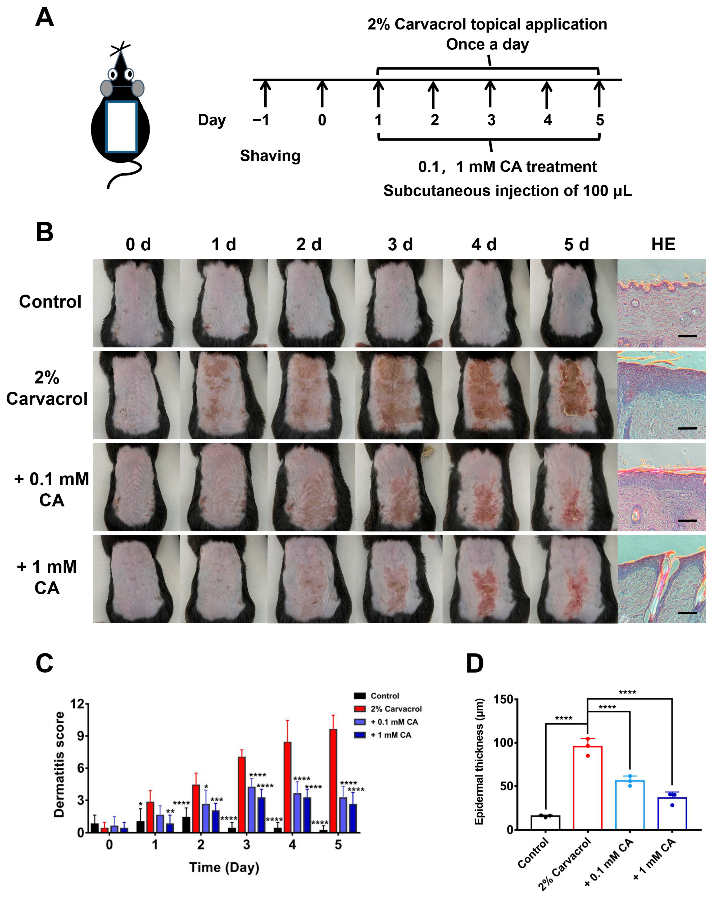 Molecules 29 03728 g006