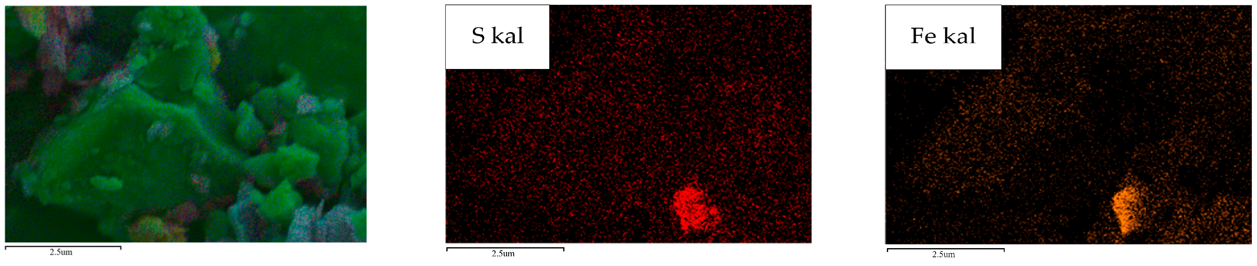 Molecules 29 03729 g021