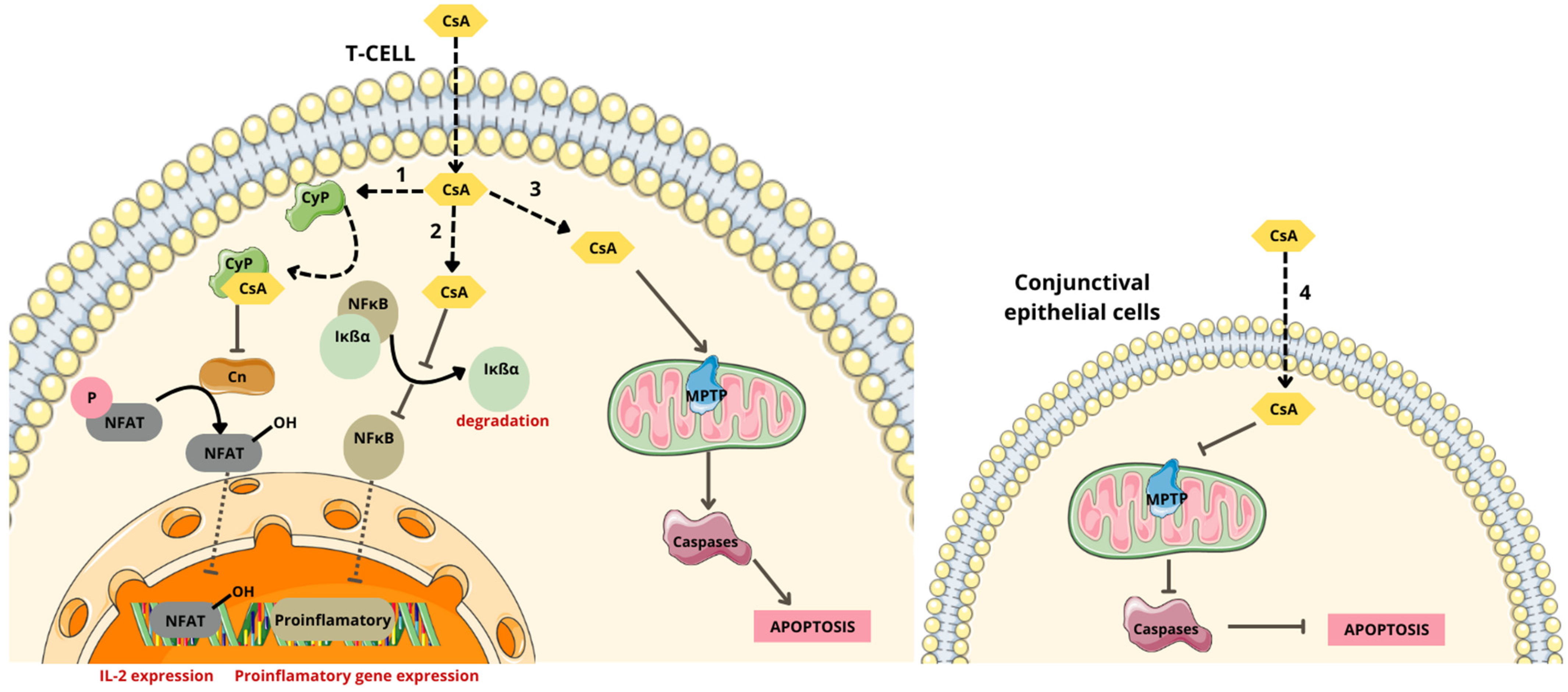 Molecules 29 03732 g006