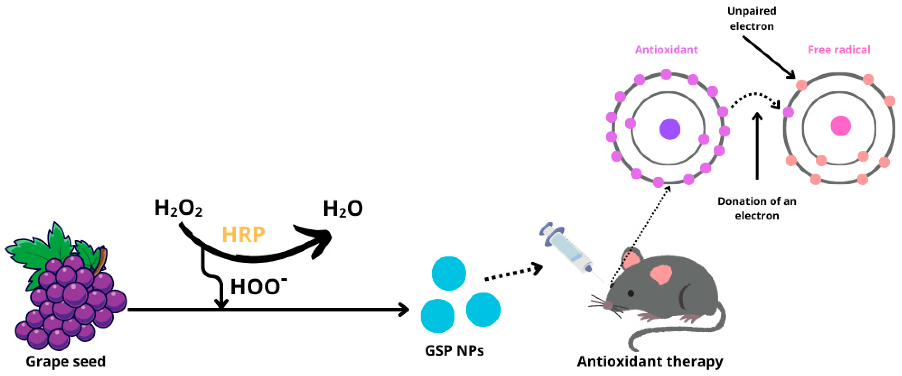 Molecules 29 03732 g007