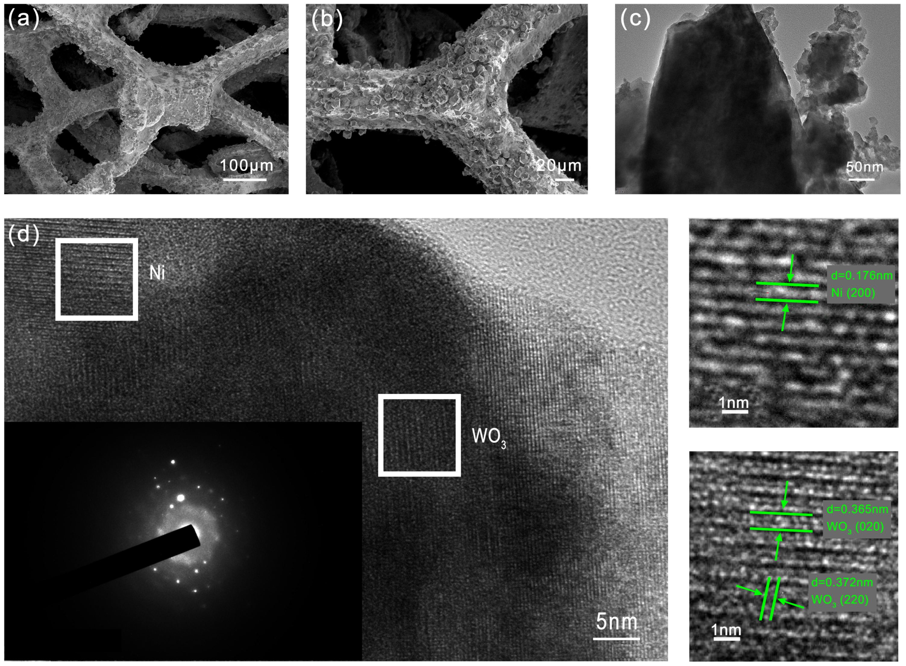 Molecules 29 03734 g001