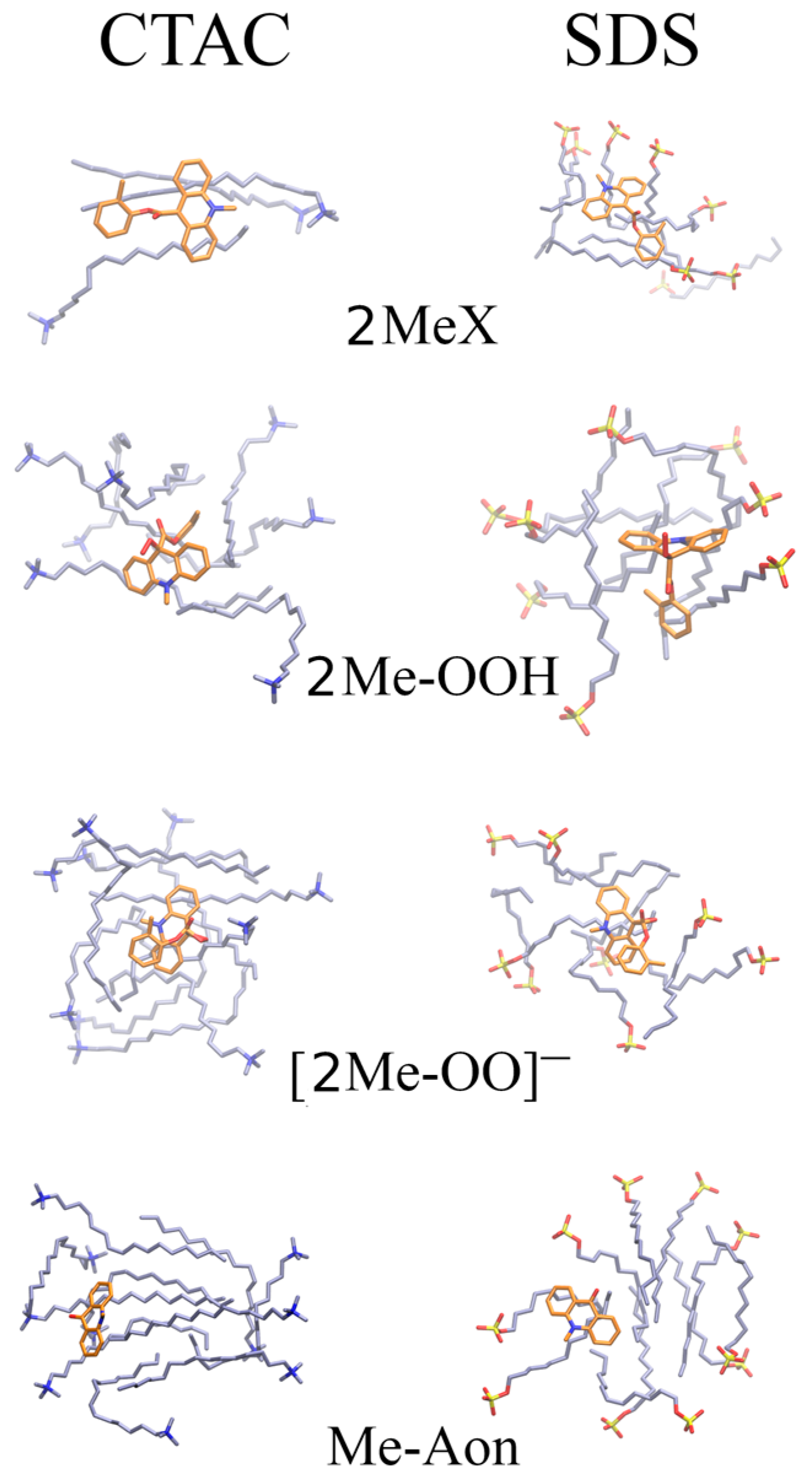 Molecules 29 03736 g007