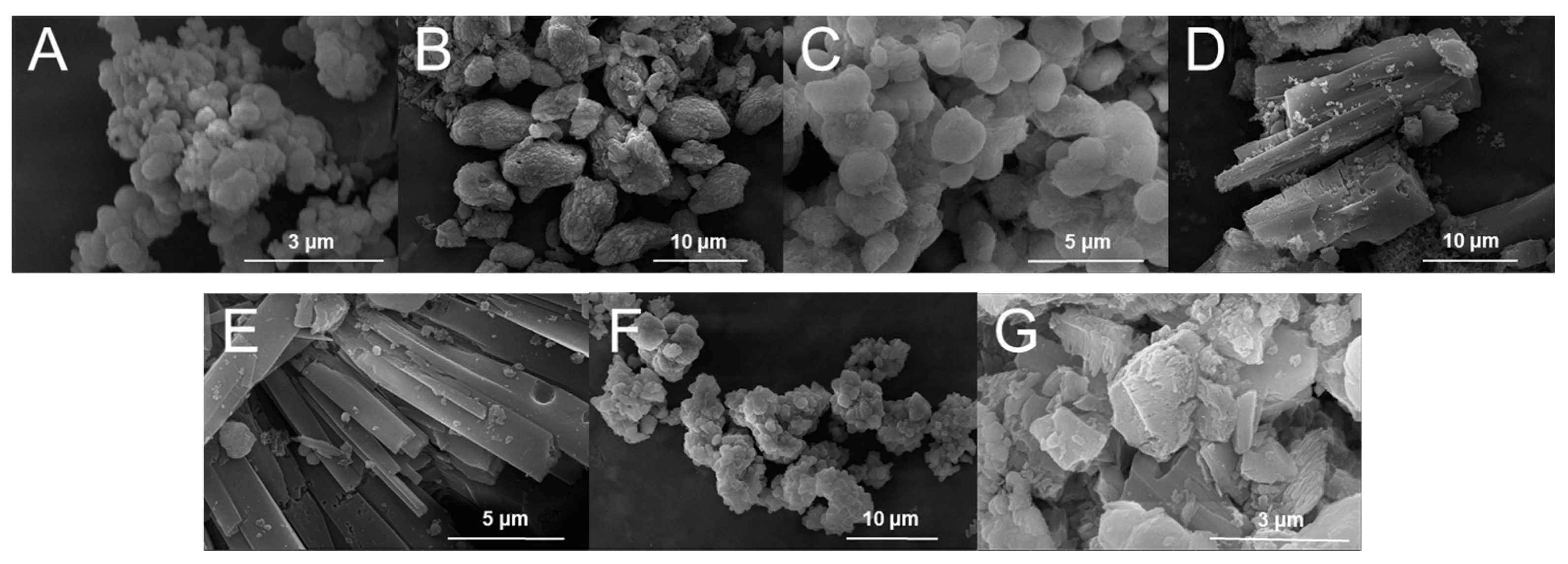 Molecules 29 03739 g001