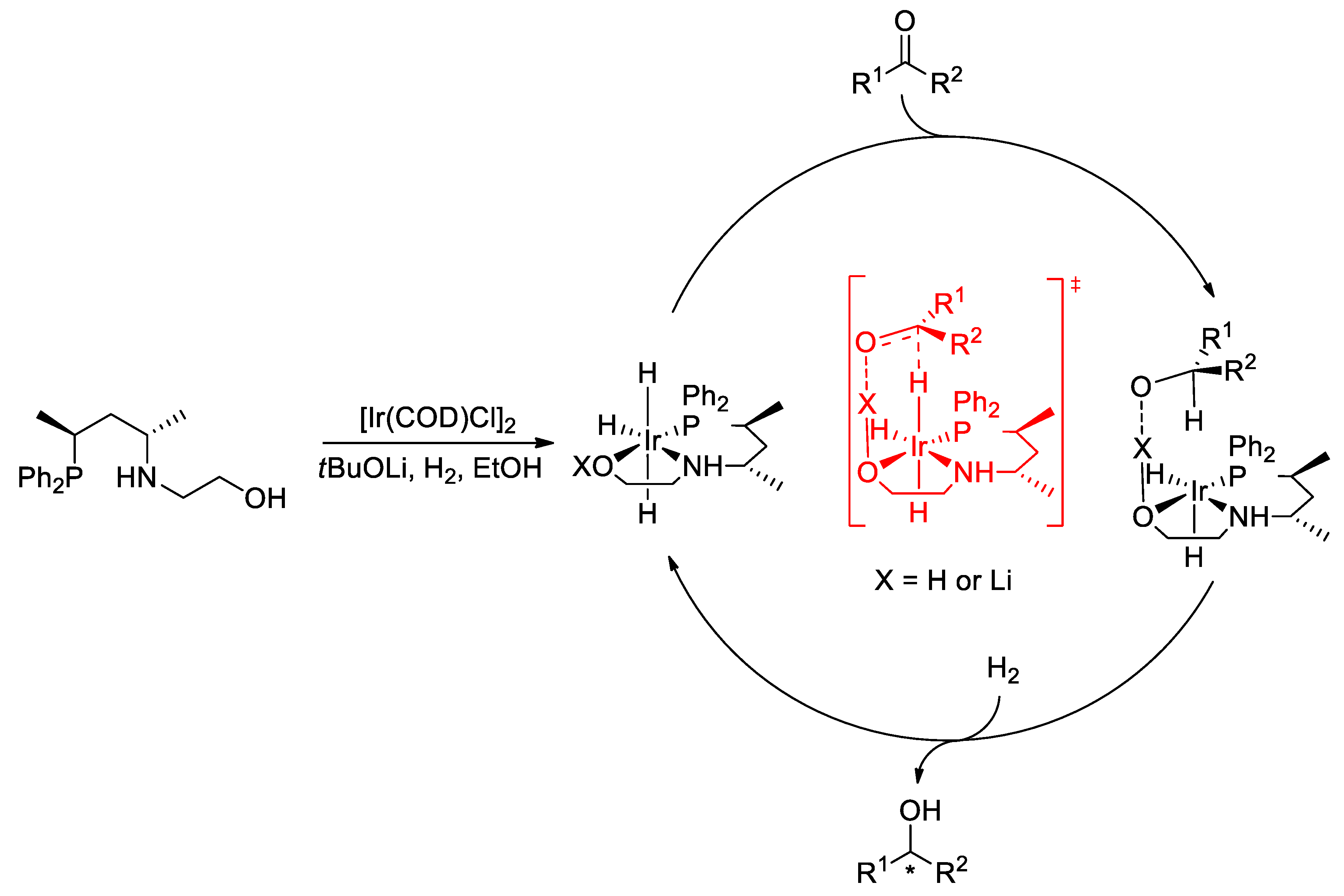 Molecules 29 03743 g007