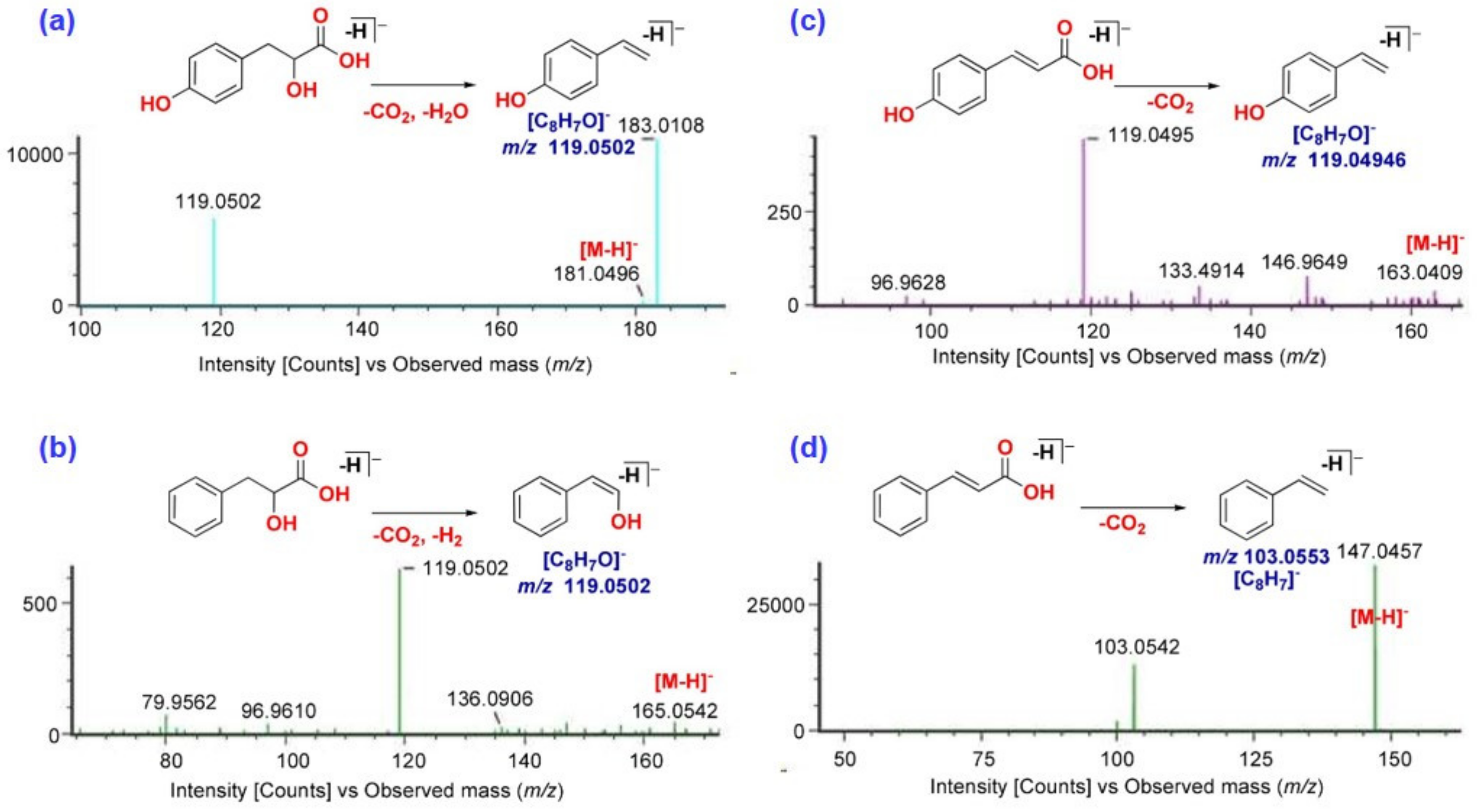Molecules 29 03760 g004