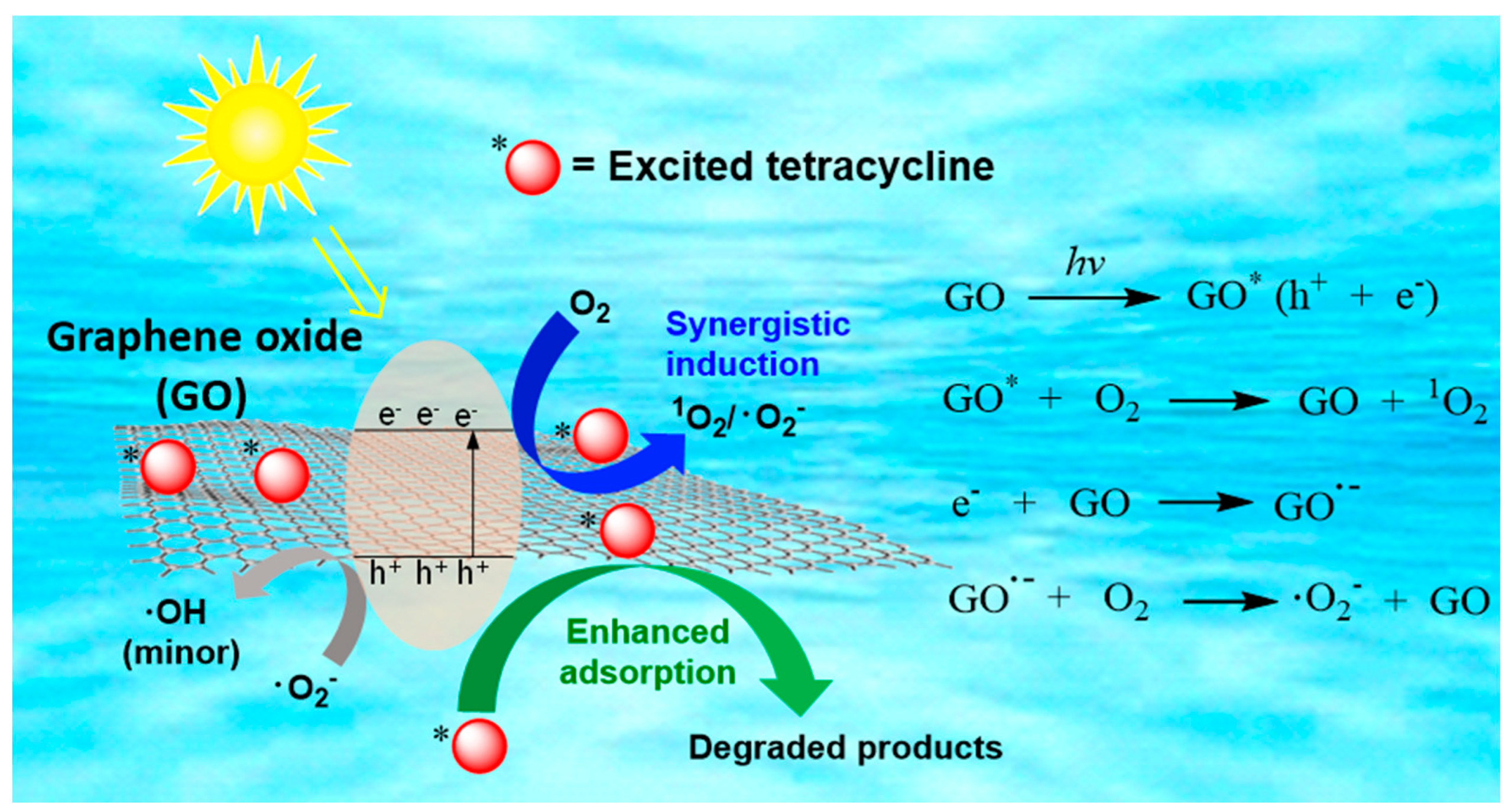 Molecules 29 03765 g008