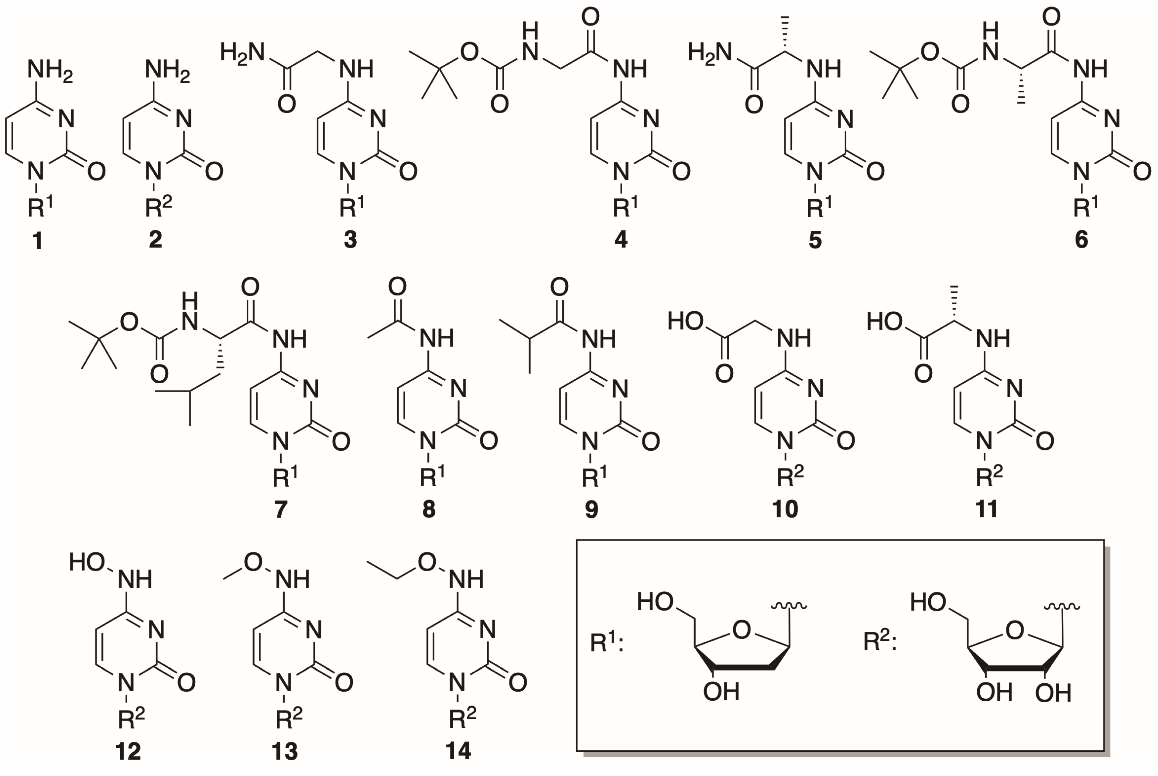 Molecules 29 03767 g003