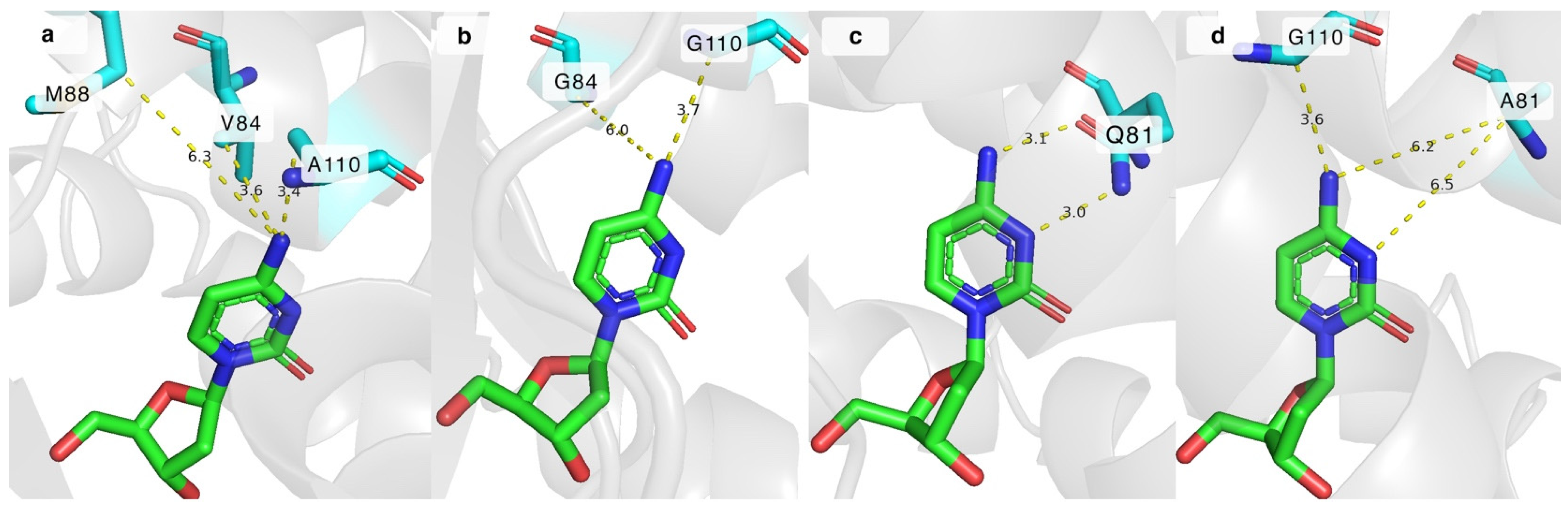 Molecules 29 03767 g004