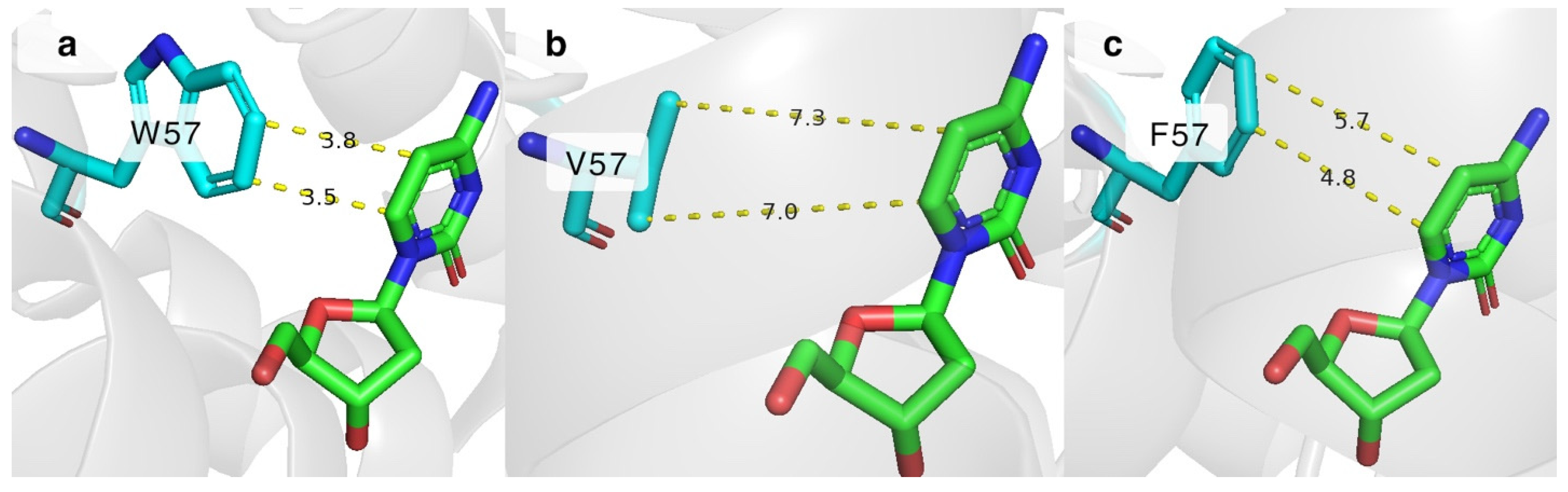 Molecules 29 03767 g005