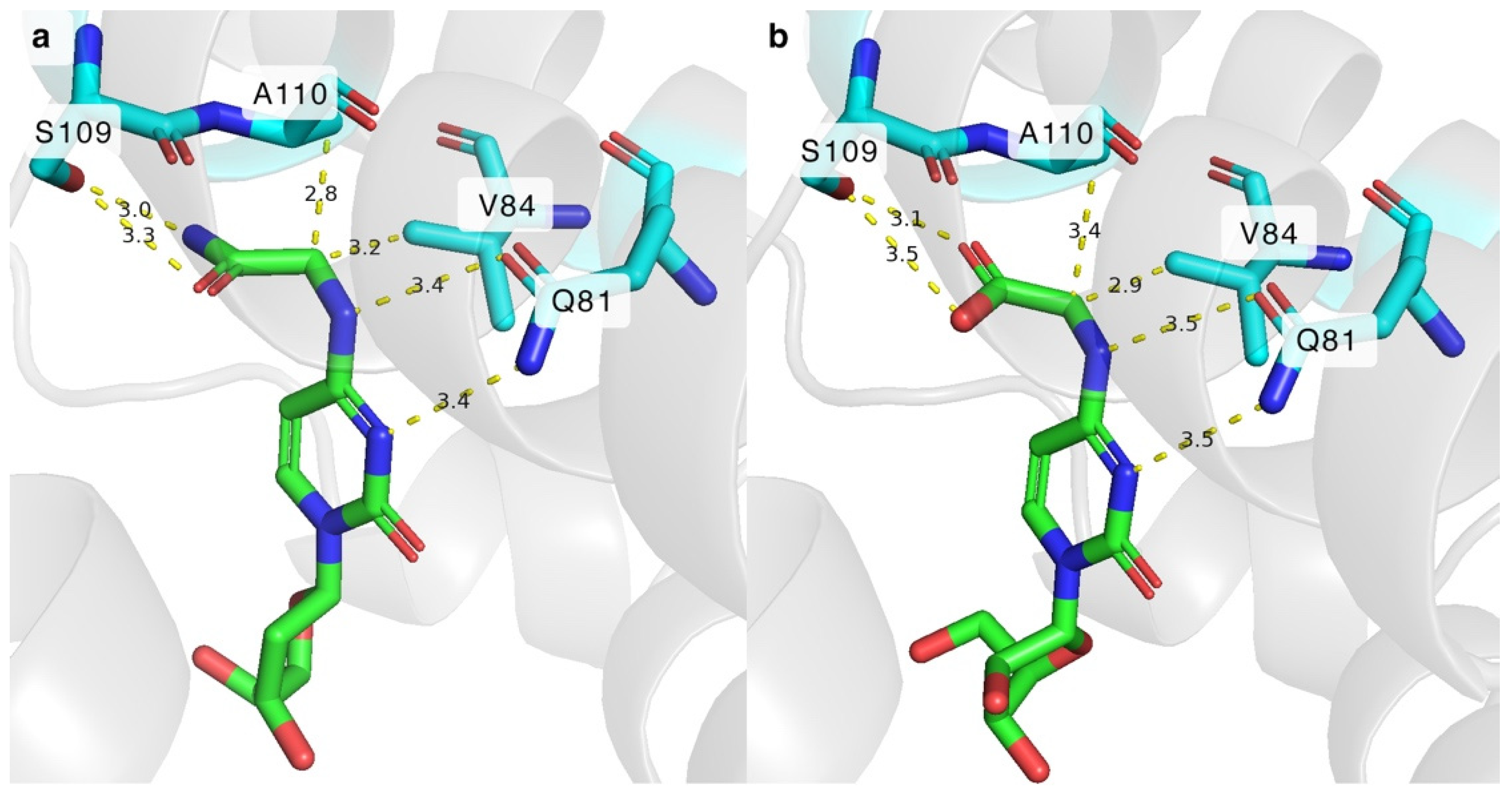 Molecules 29 03767 g007