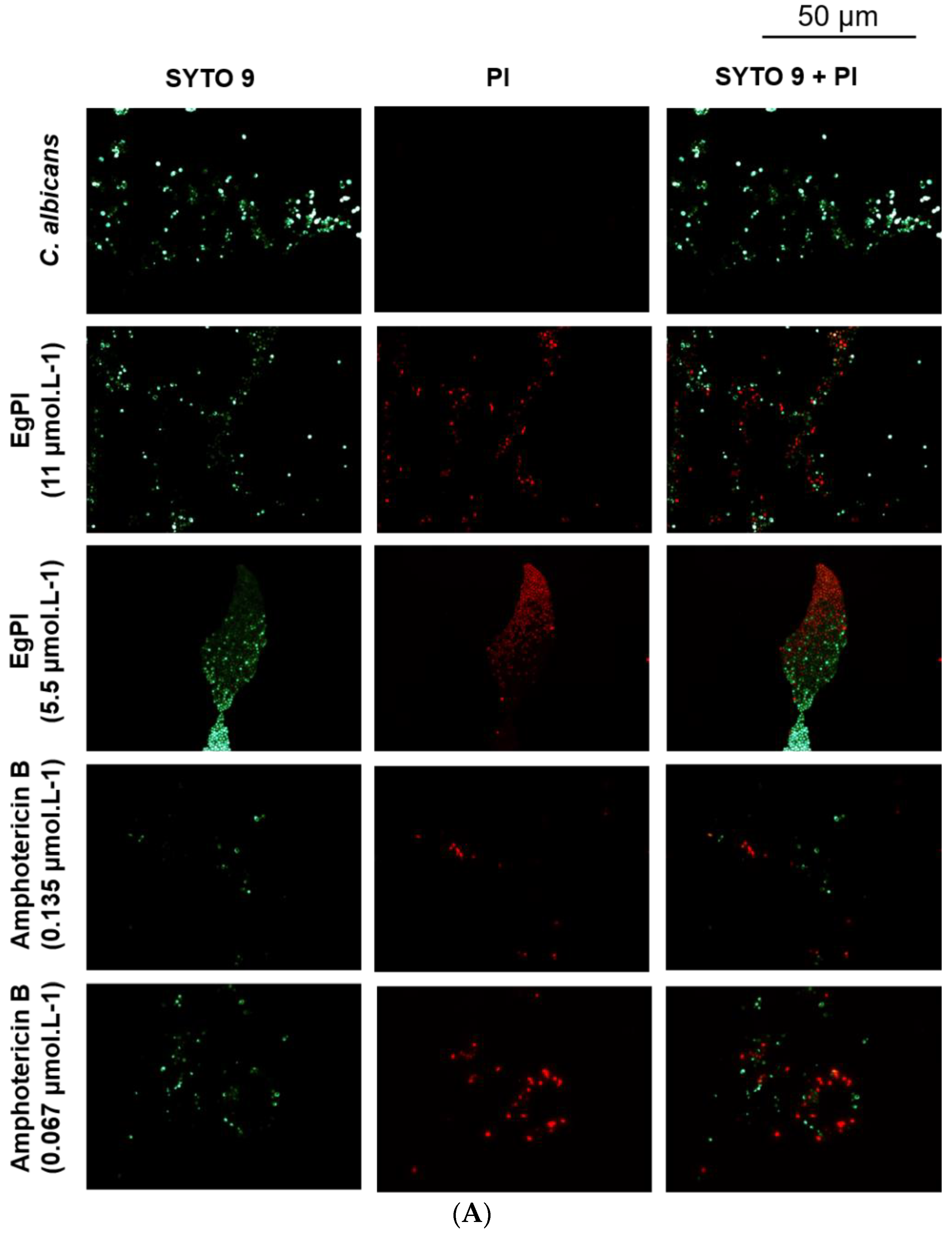 Molecules 29 03777 g010a