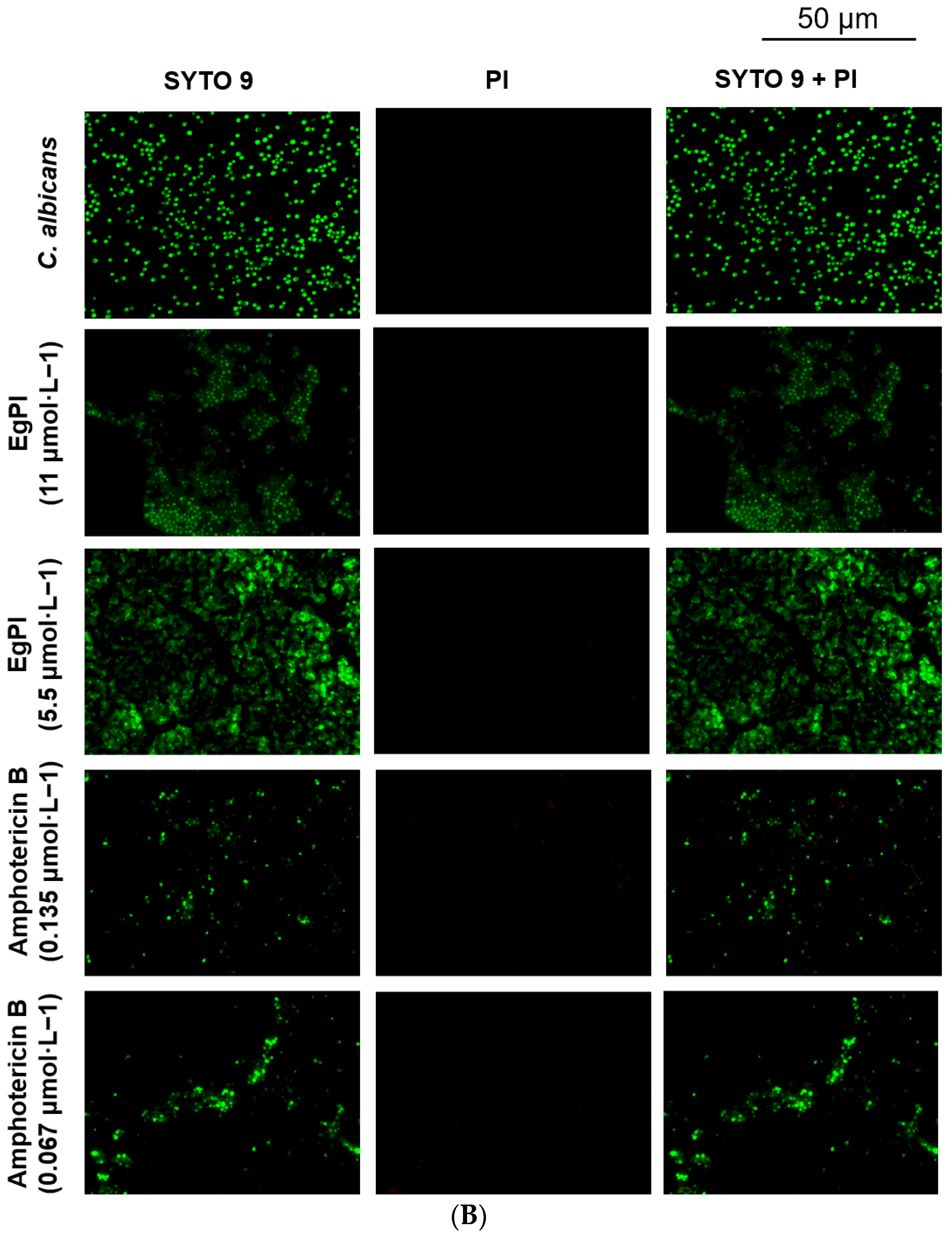 Molecules 29 03777 g010b