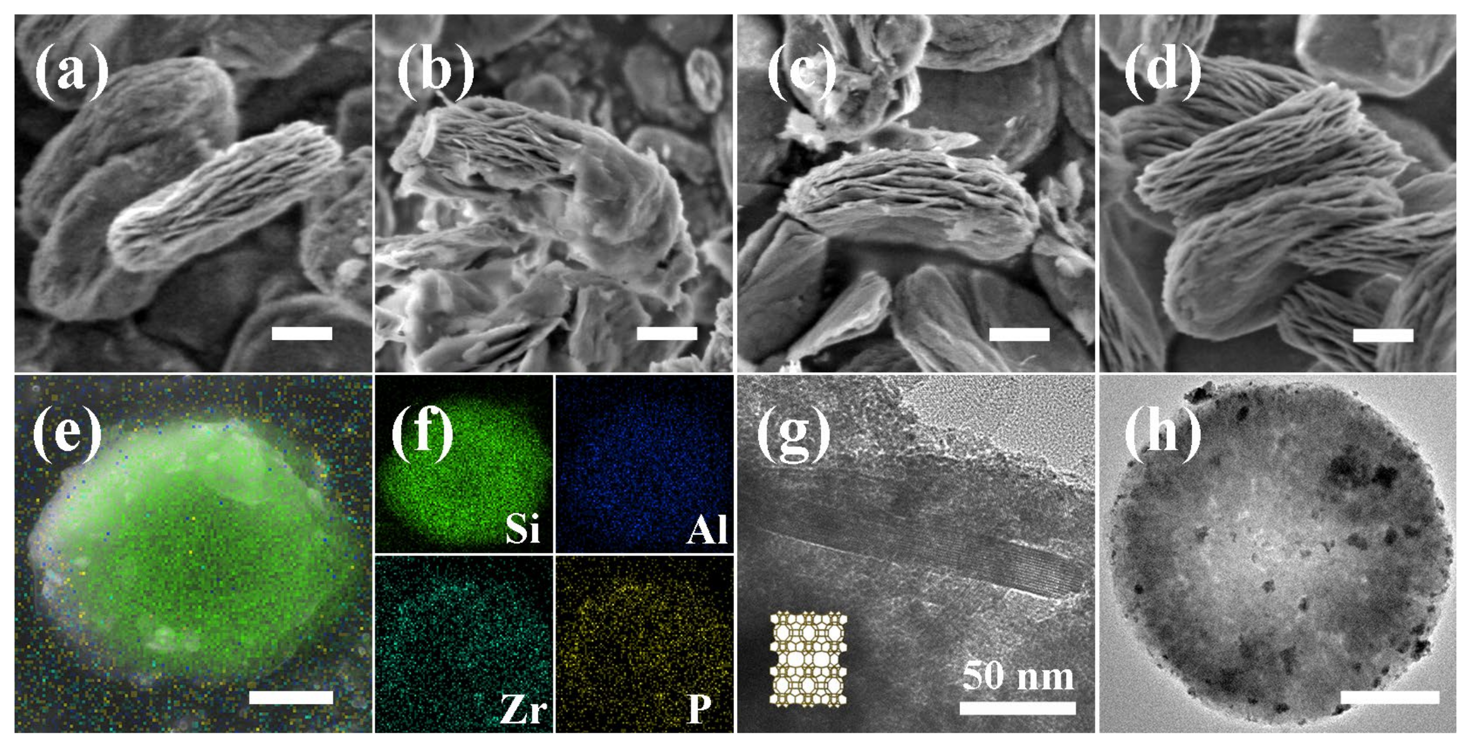 Molecules 29 03779 g002
