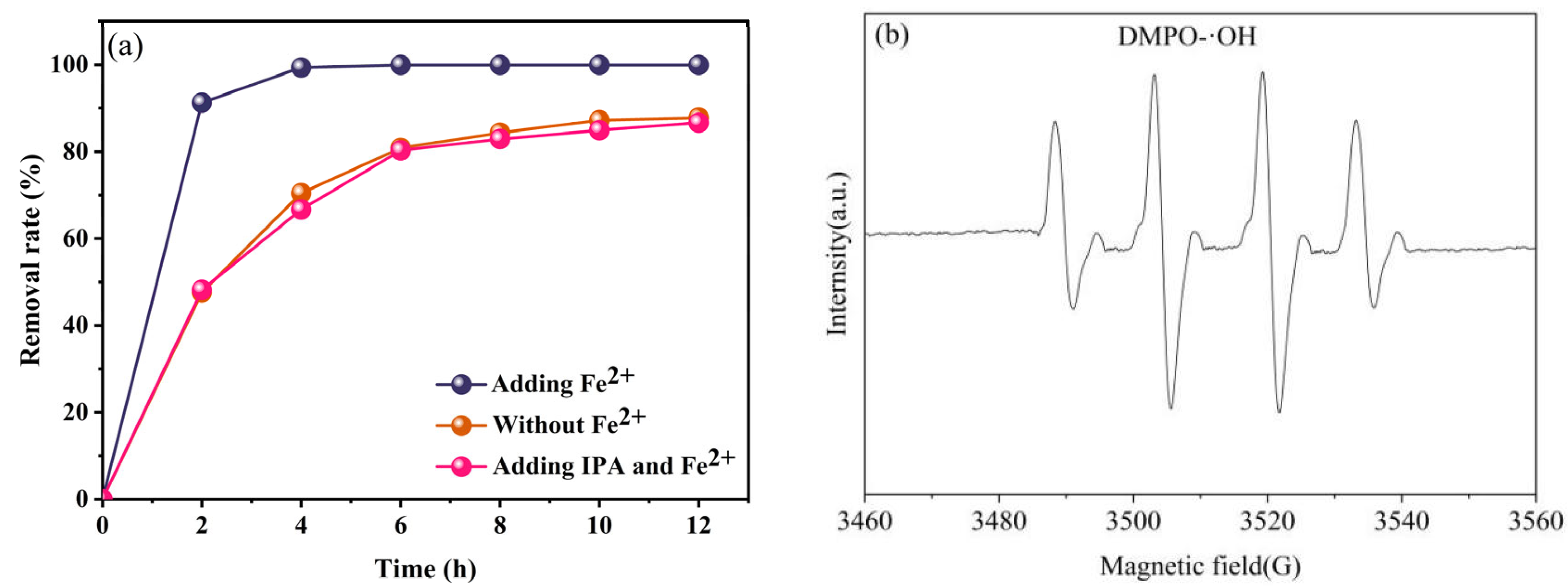 Molecules 29 03781 g008