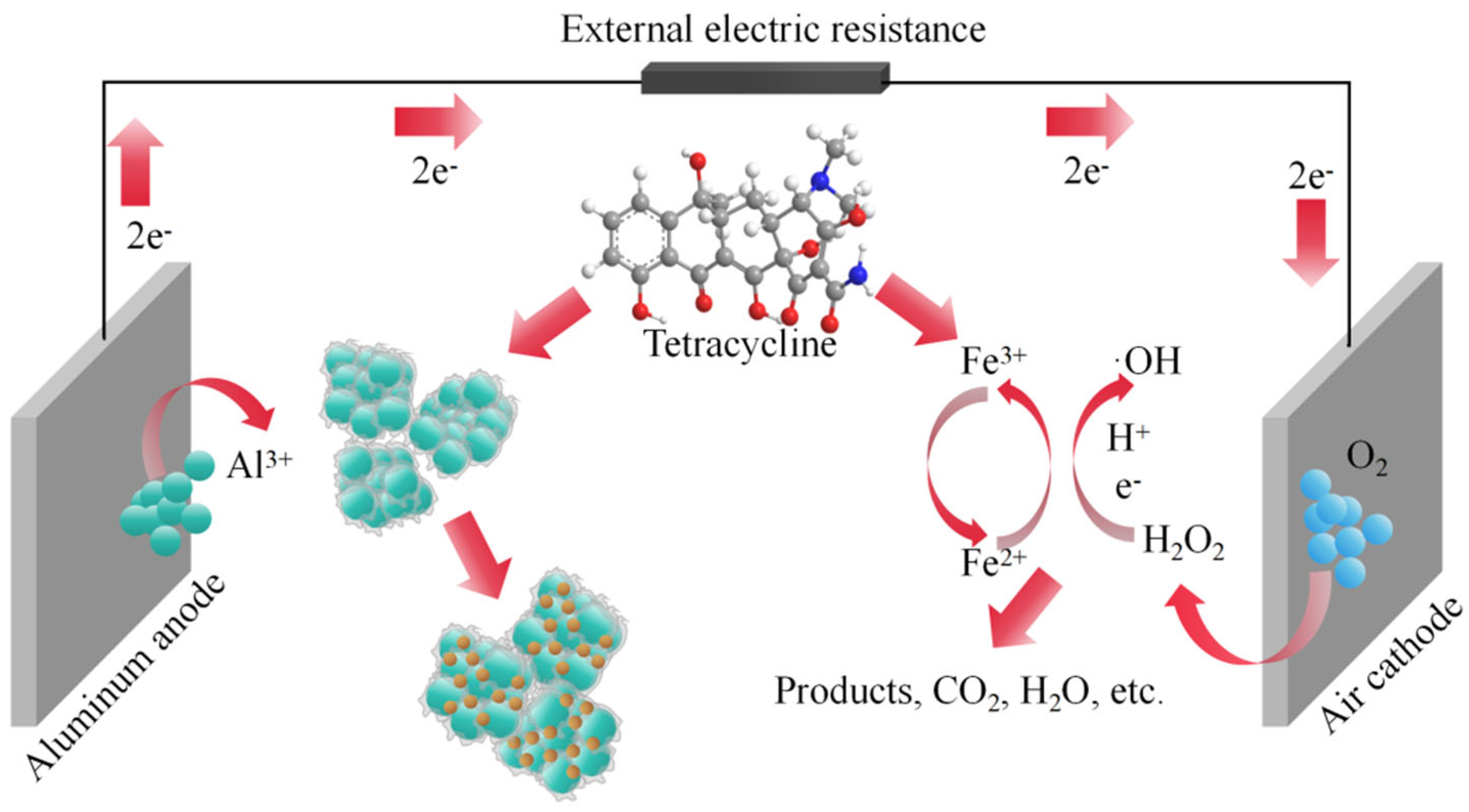 Molecules 29 03781 g009