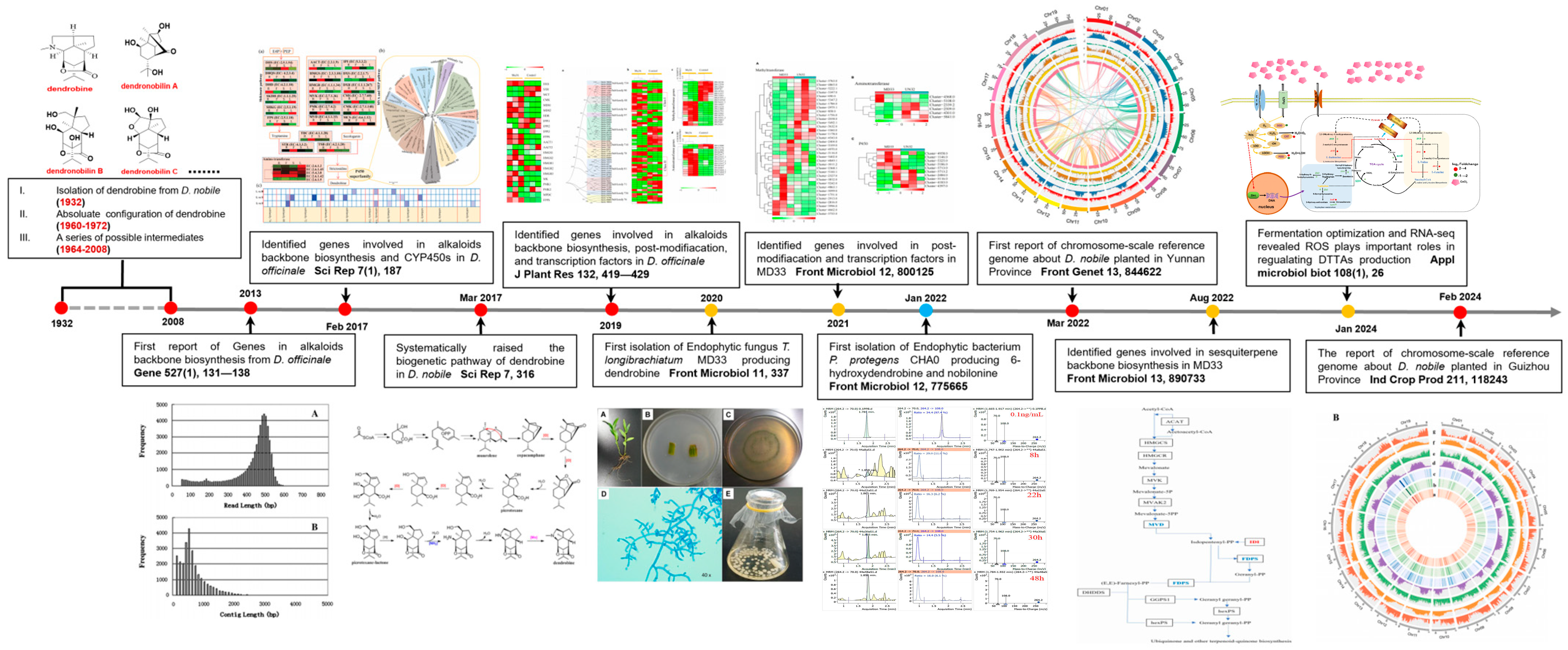 Molecules 29 03787 g001 Molecules 29 03787 g001