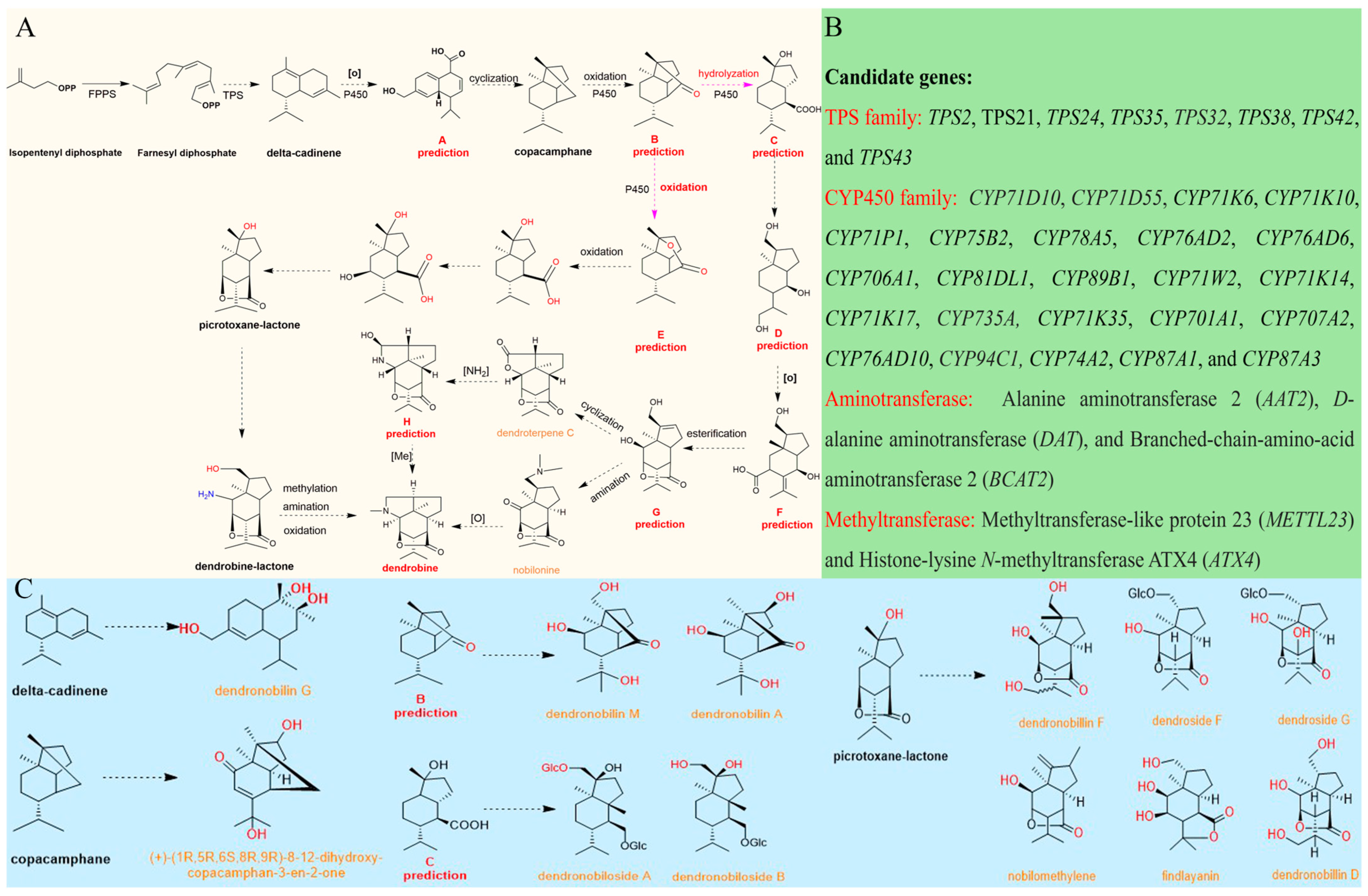 Molecules 29 03787 g004 Molecules 29 03787 g004