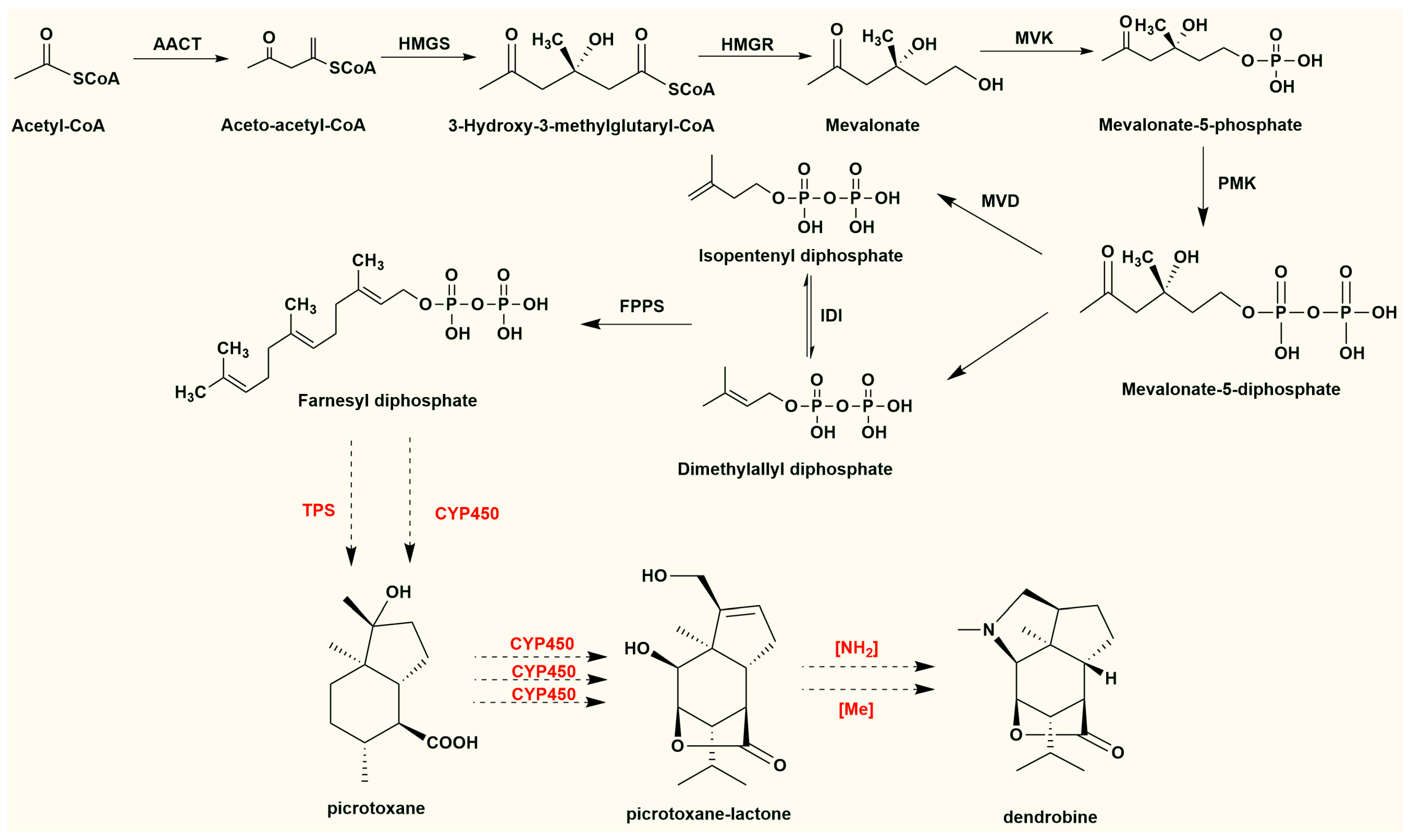 Molecules 29 03787 g005 Molecules 29 03787 g005