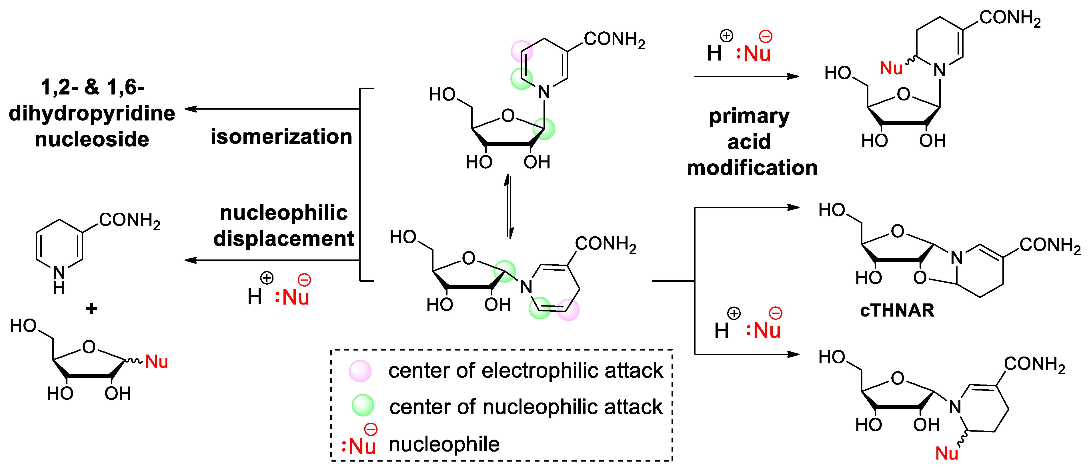 Molecules 29 03788 g004 Molecules 29 03788 g004