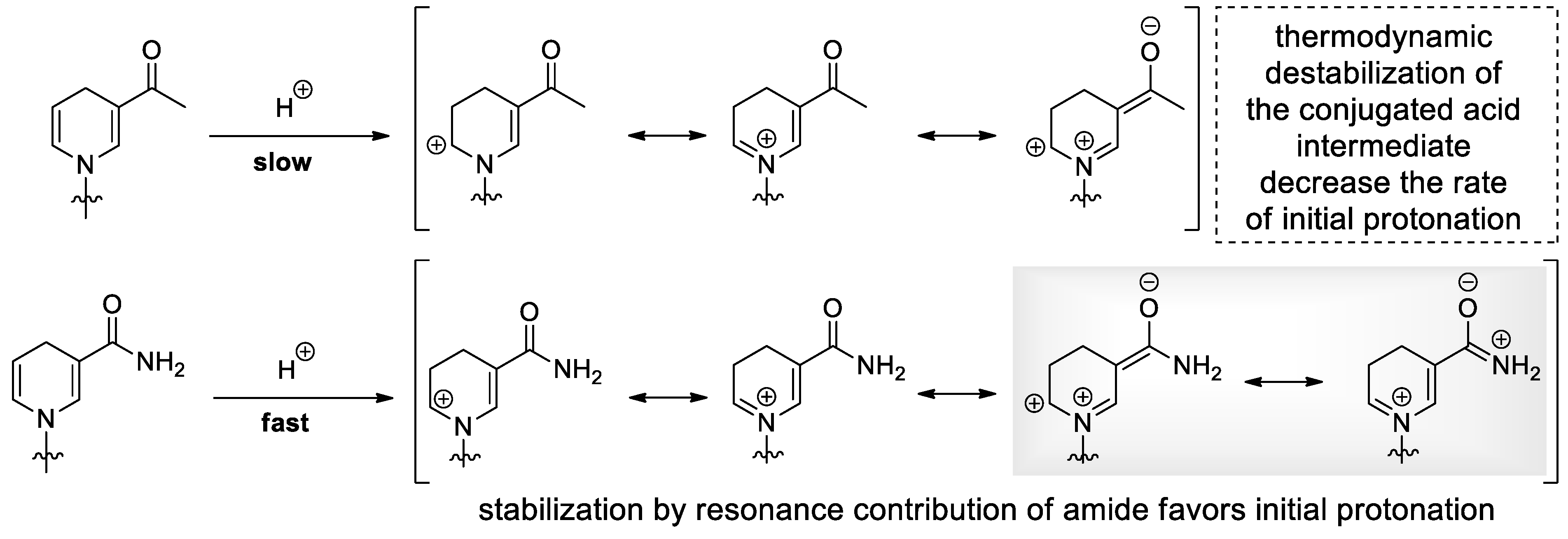 Molecules 29 03788 g005 Molecules 29 03788 g005