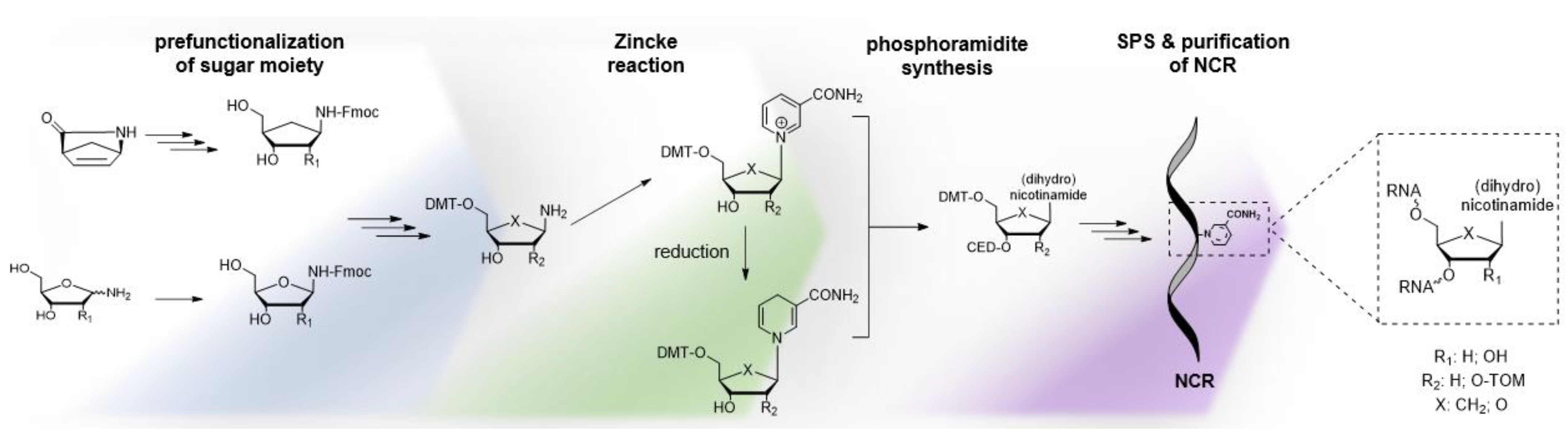 Molecules 29 03788 g009 Molecules 29 03788 g009