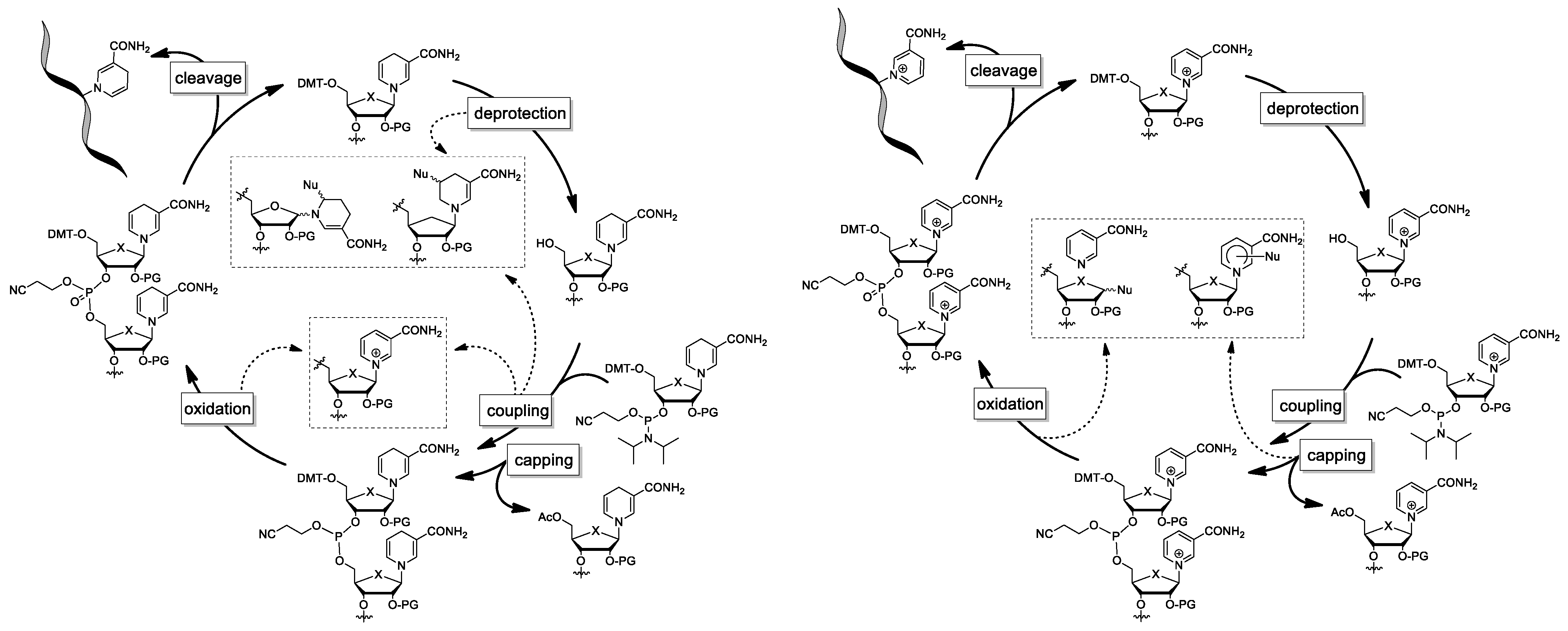 Molecules 29 03788 g010 Molecules 29 03788 g010
