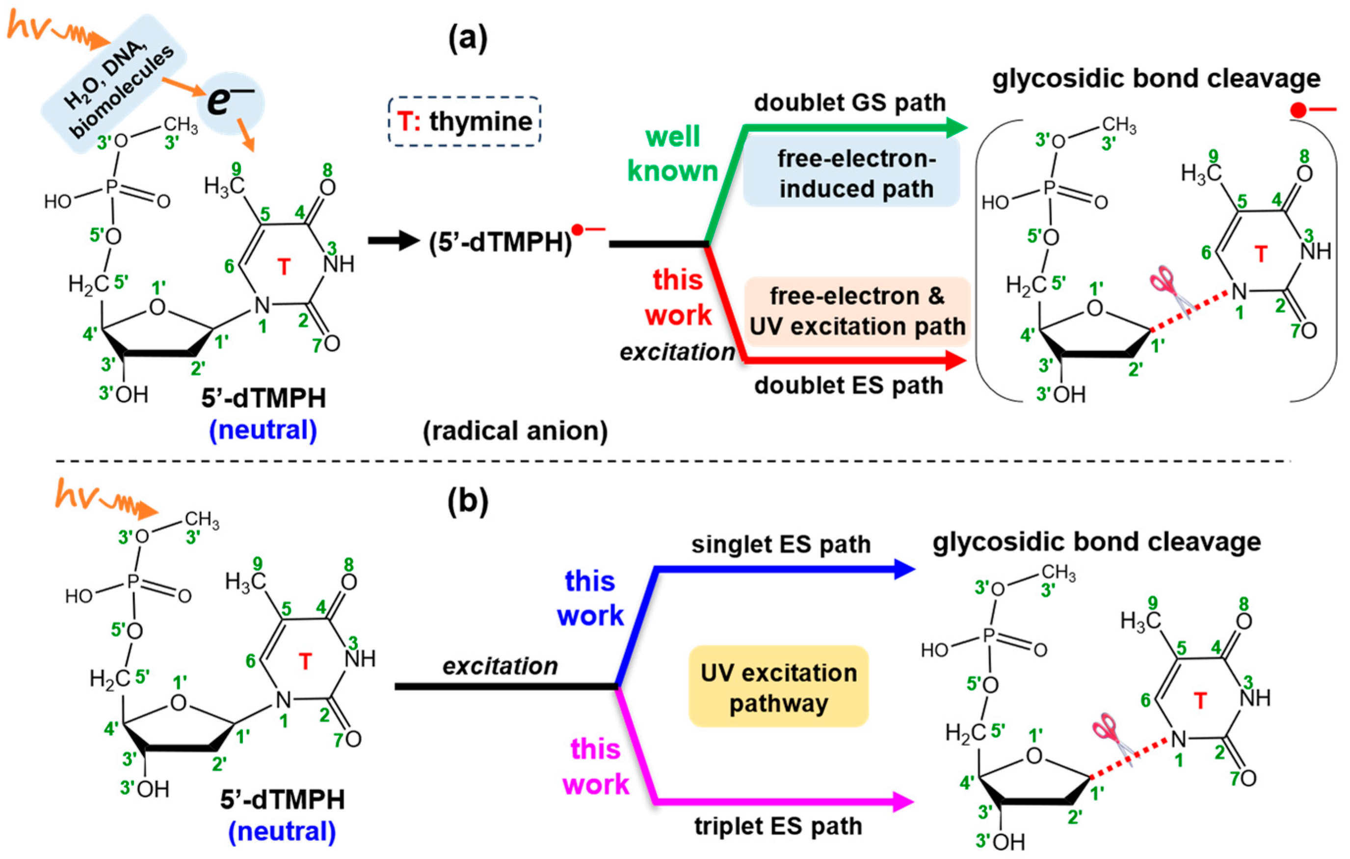 Molecules 29 03789 g001 Molecules 29 03789 g001