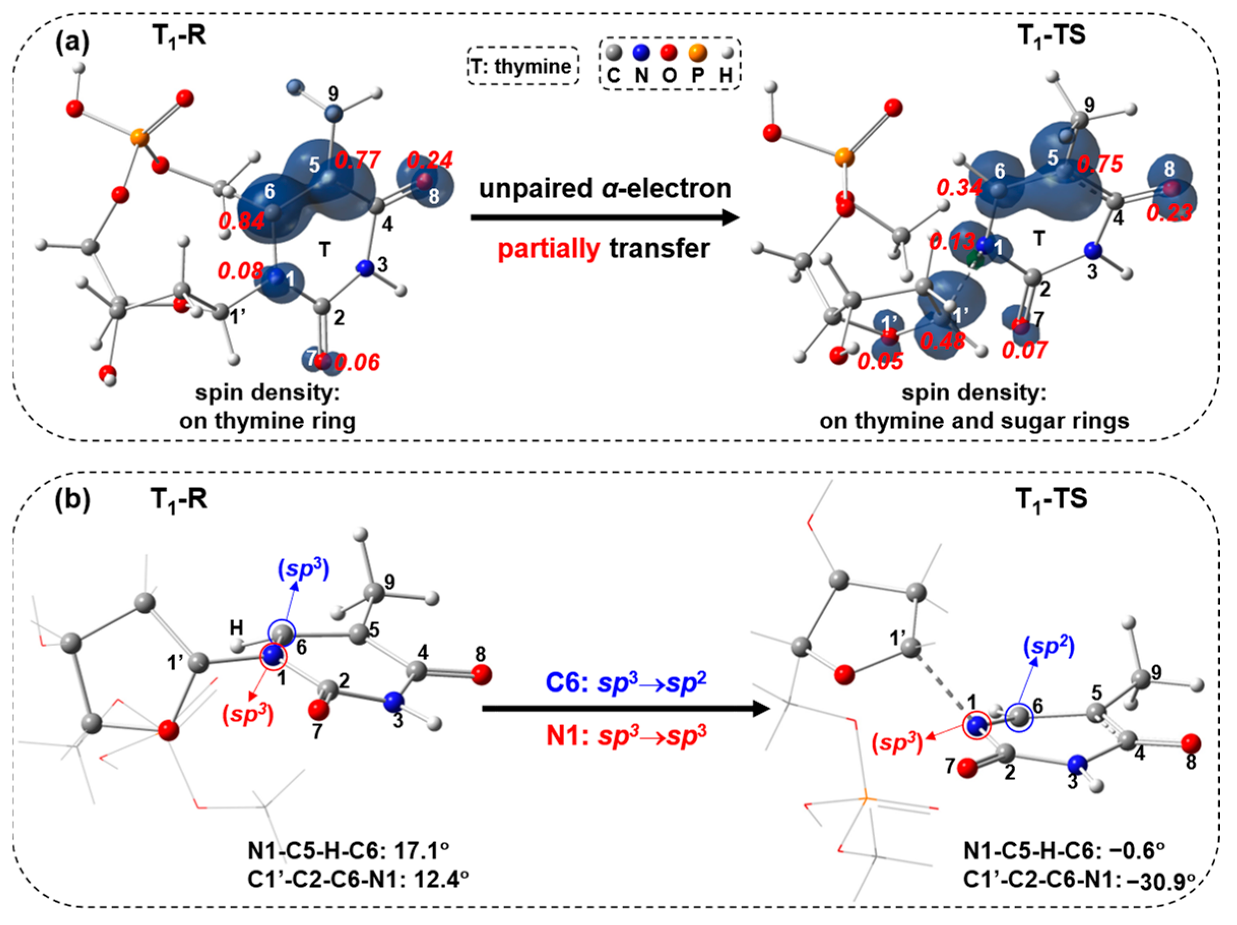 Molecules 29 03789 g011 Molecules 29 03789 g011