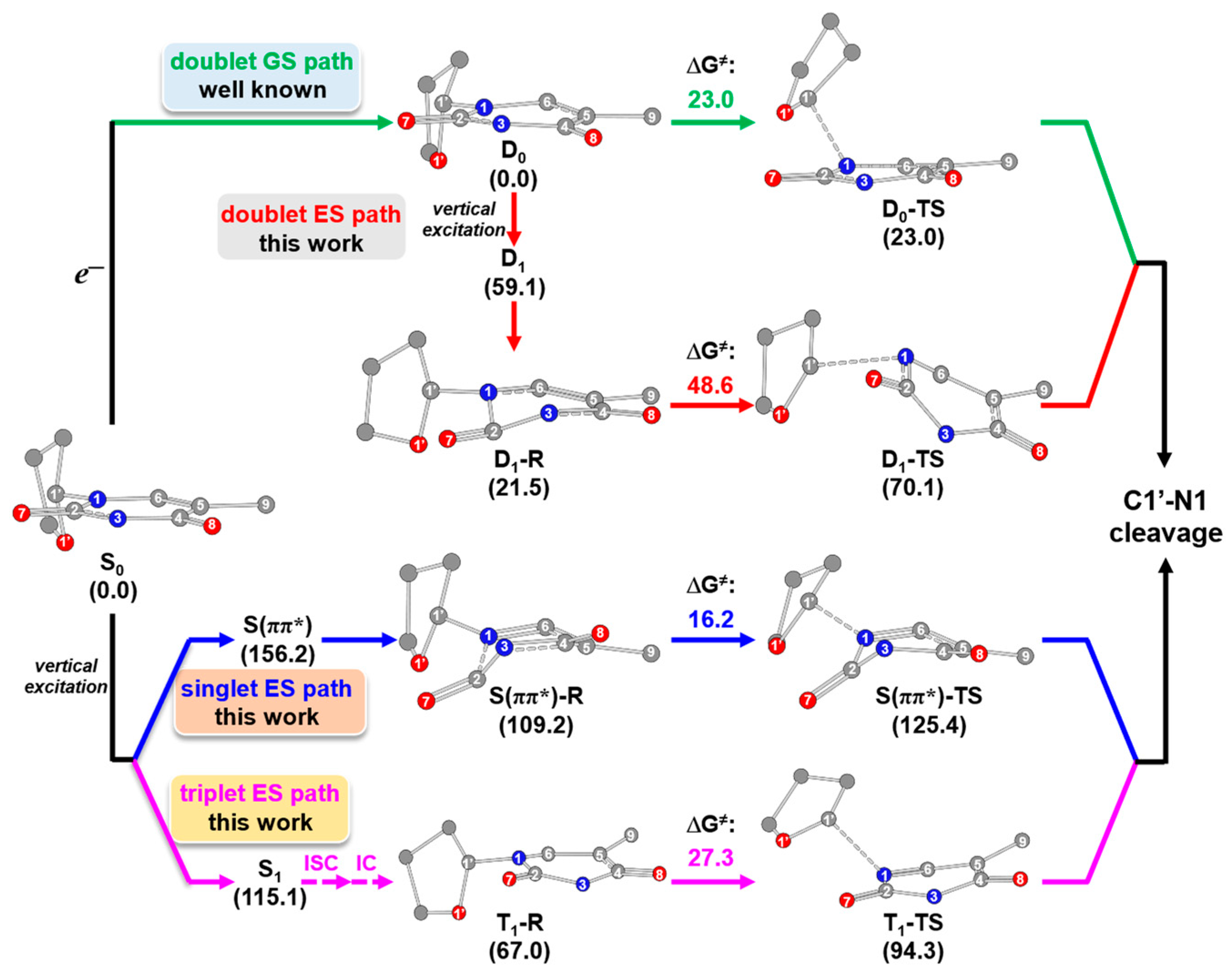 Molecules 29 03789 g012 Molecules 29 03789 g012