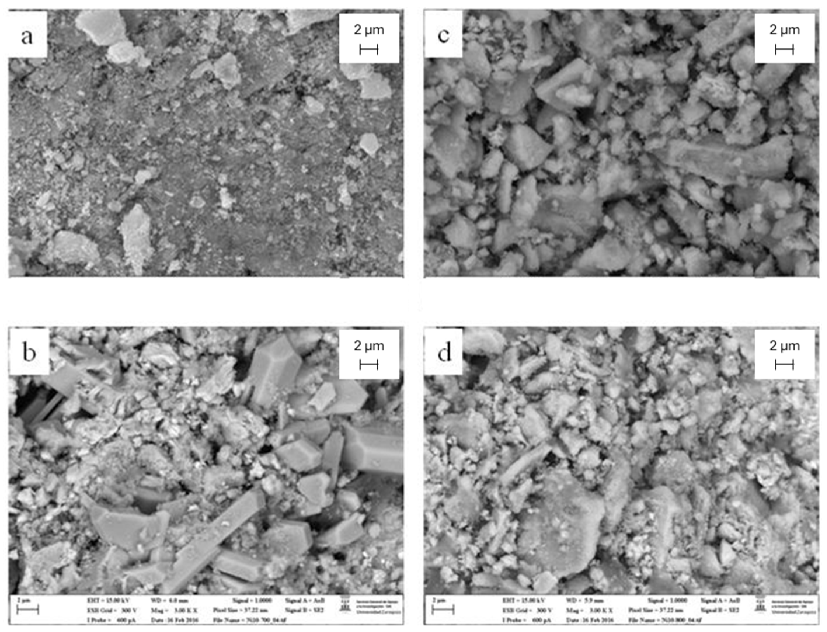 Molecules 29 03797 g012