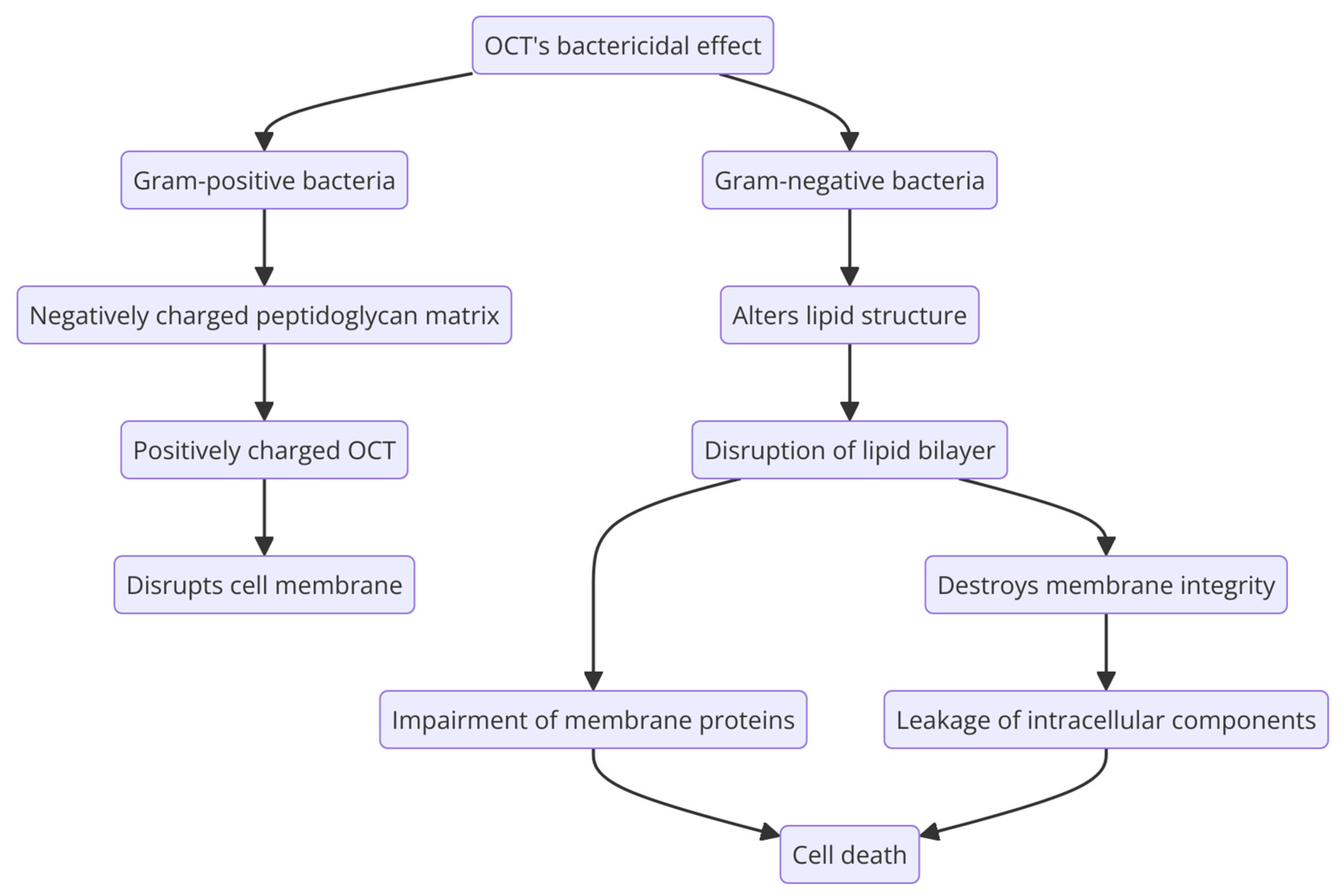 Molecules 29 03802 g004