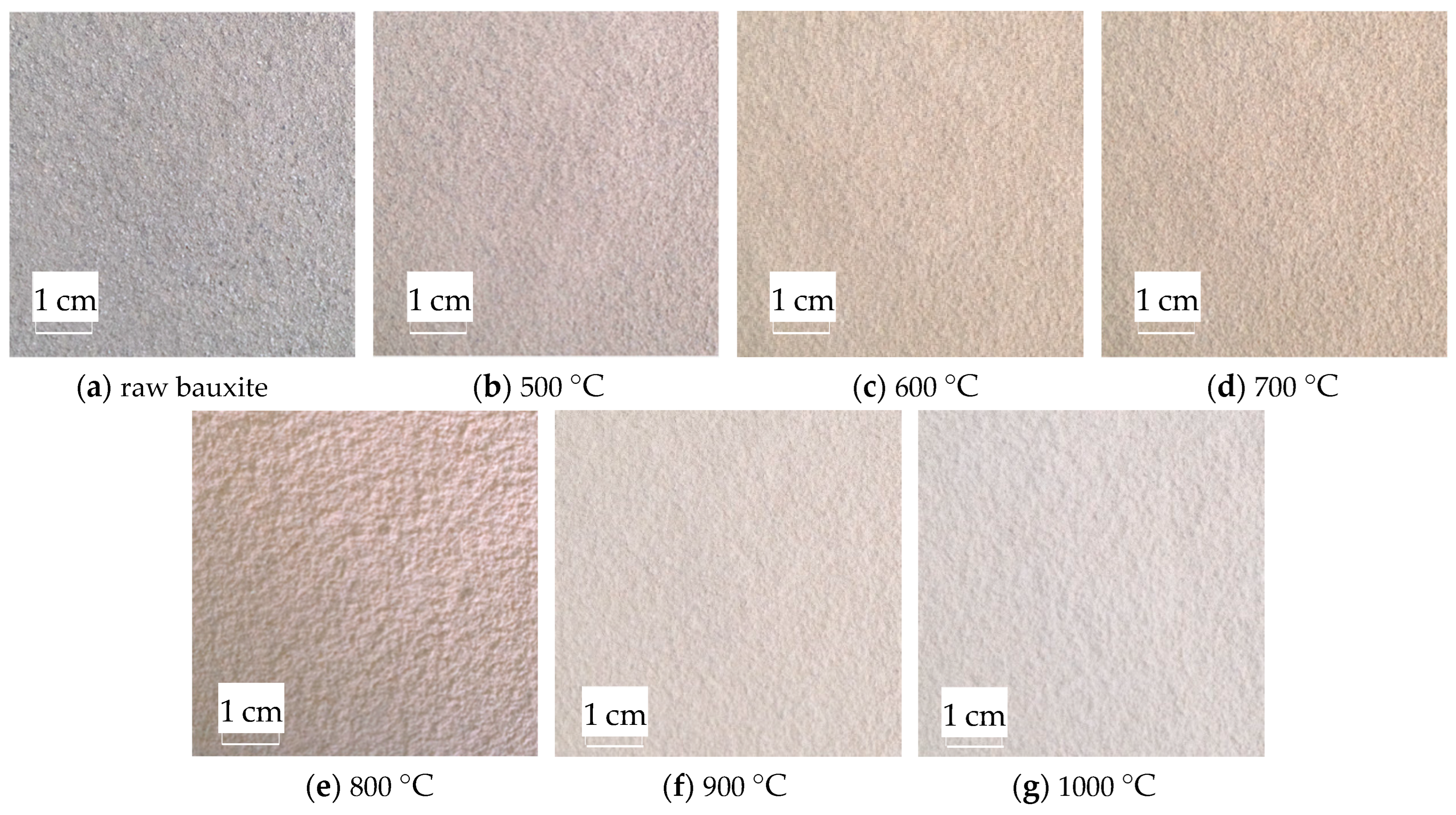 Molecules 29 03813 g009