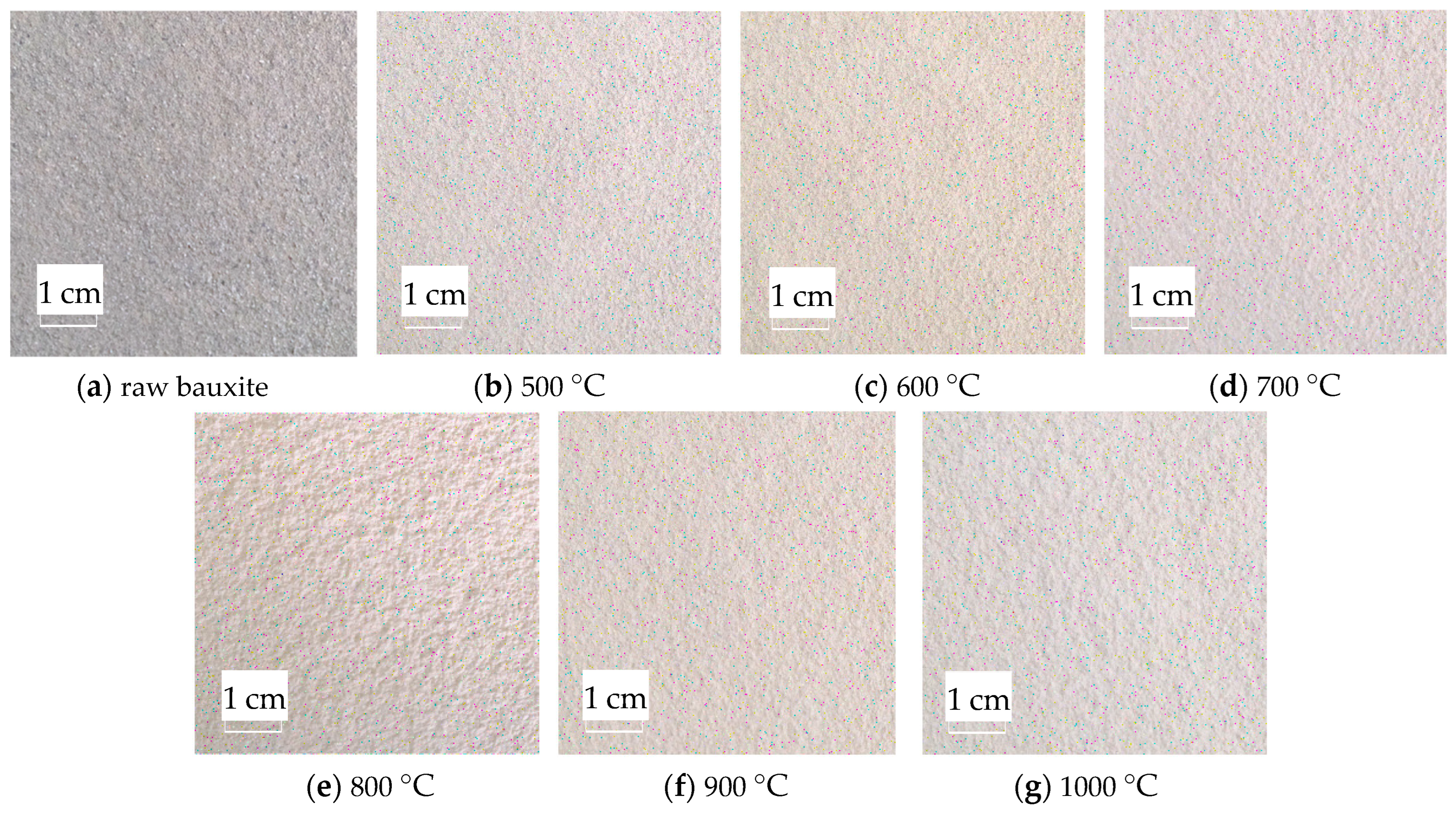 Molecules 29 03813 g010