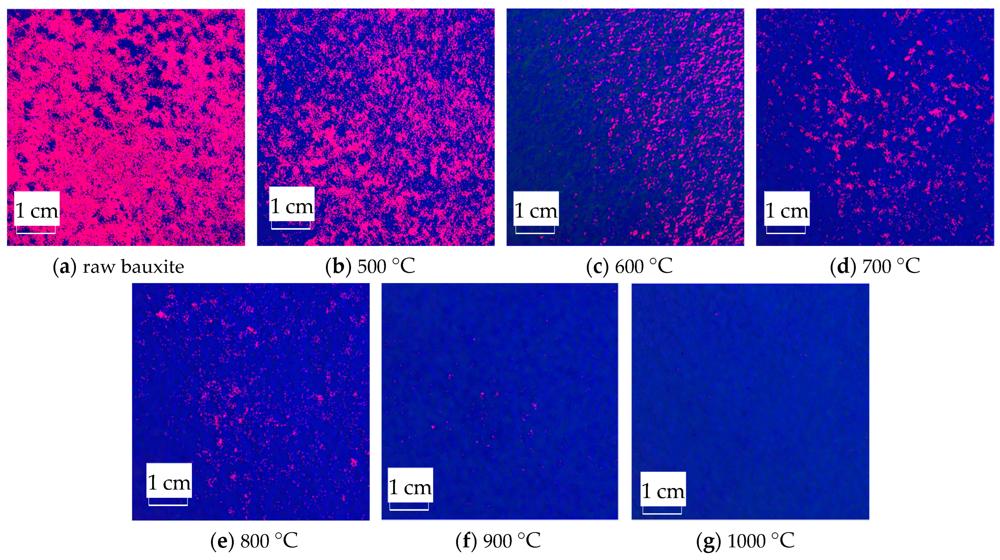 Molecules 29 03813 g012