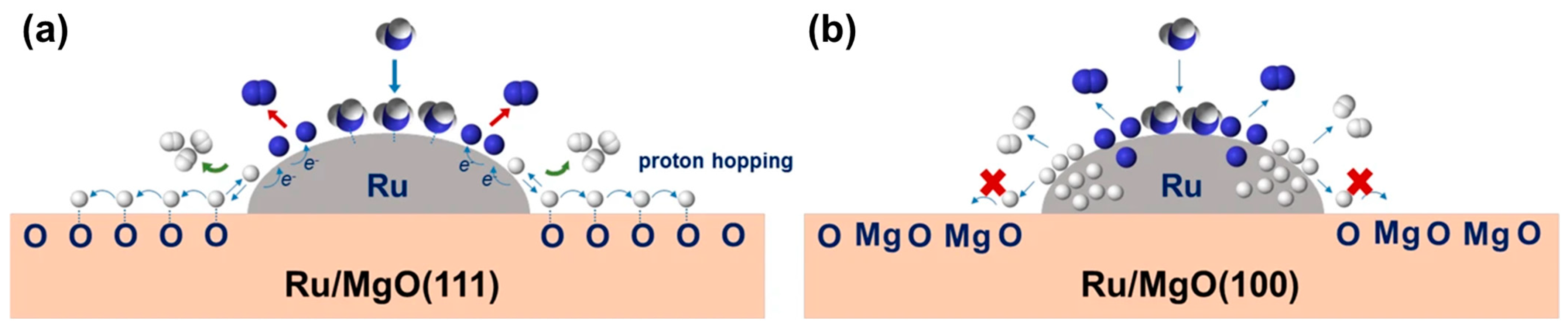Molecules 29 03817 g003