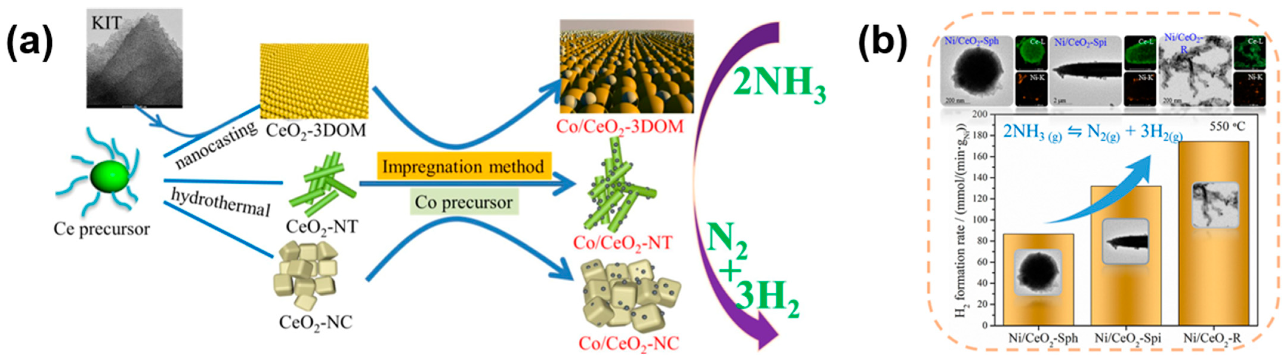 Molecules 29 03817 g004