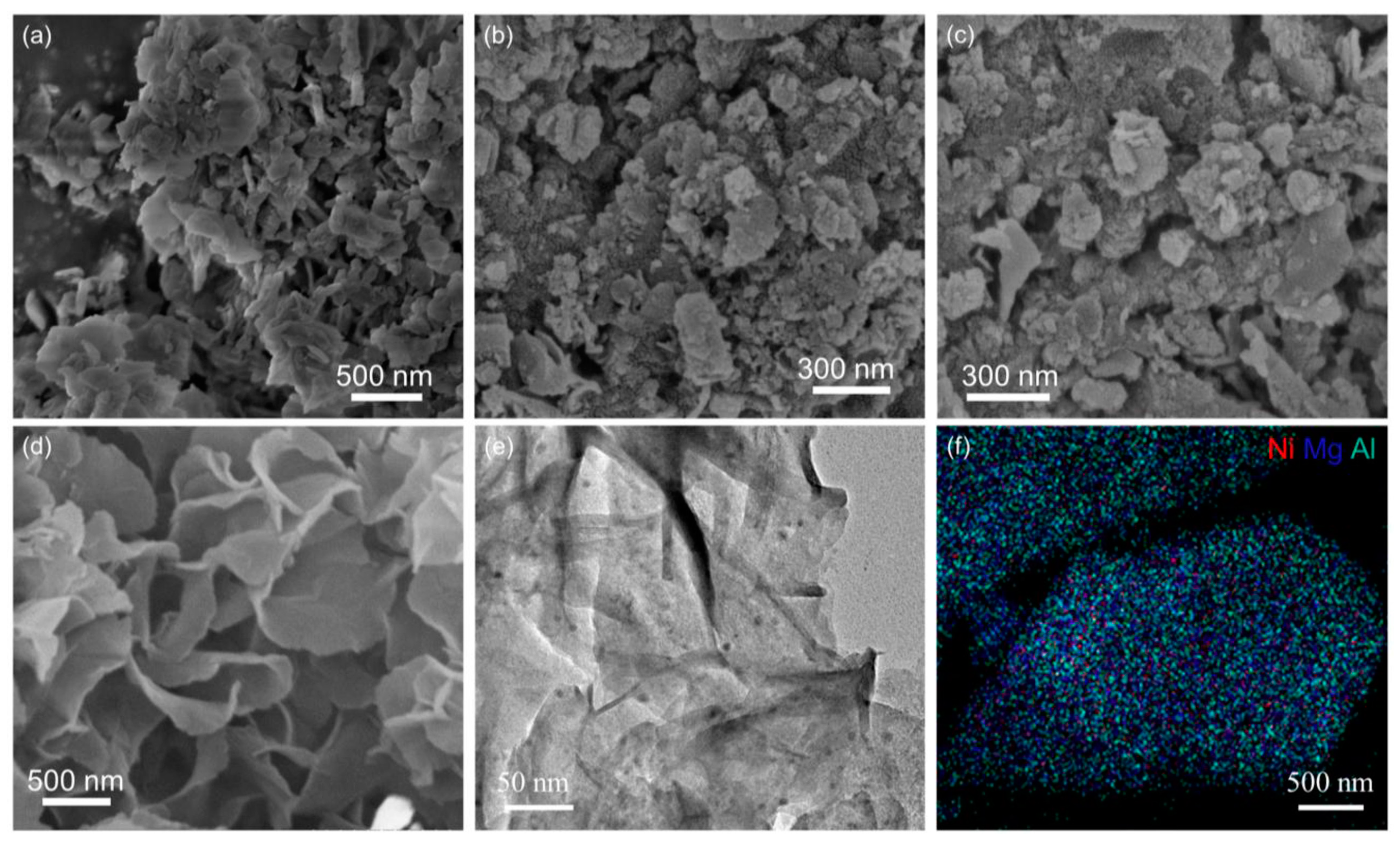 Molecules 29 03817 g005