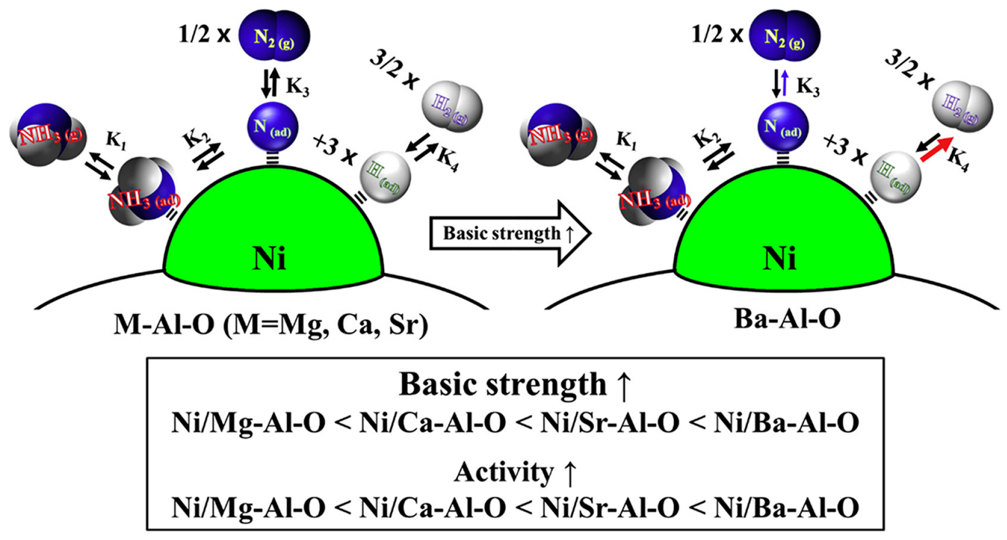 Molecules 29 03817 g006