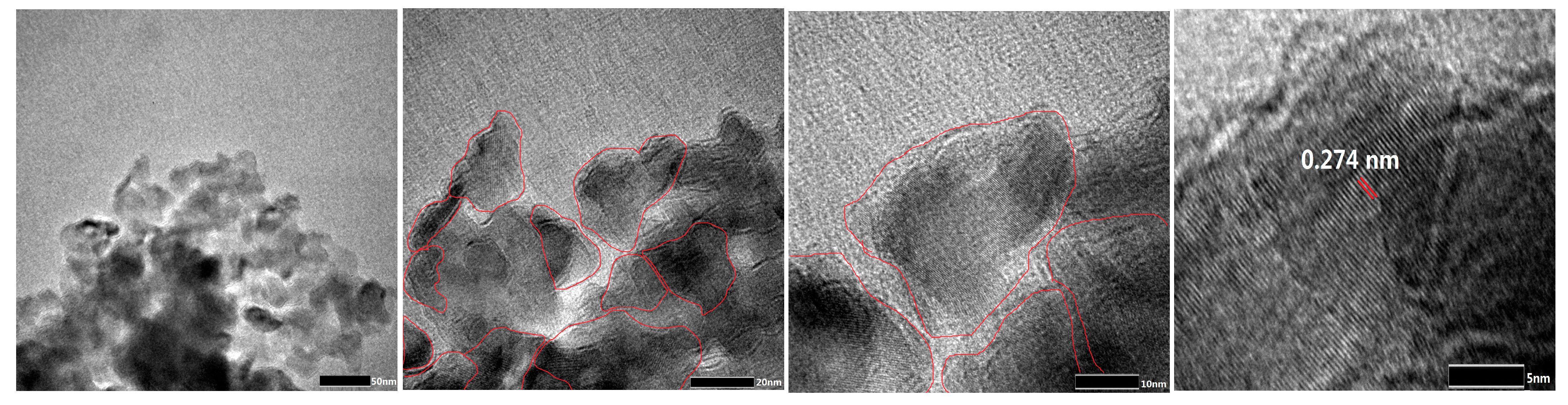 Molecules 29 03822 g006
