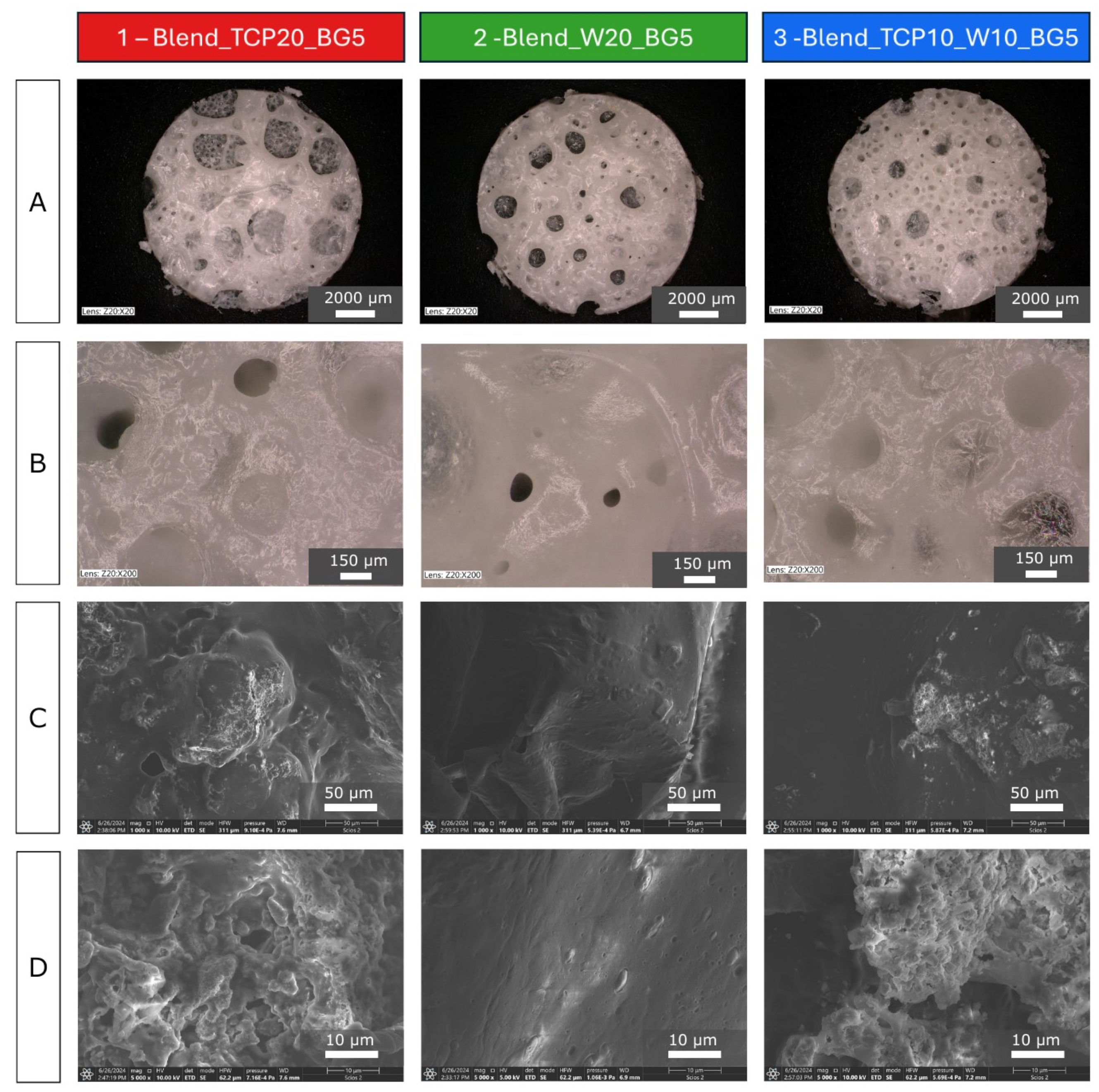 Molecules 29 03826 g001