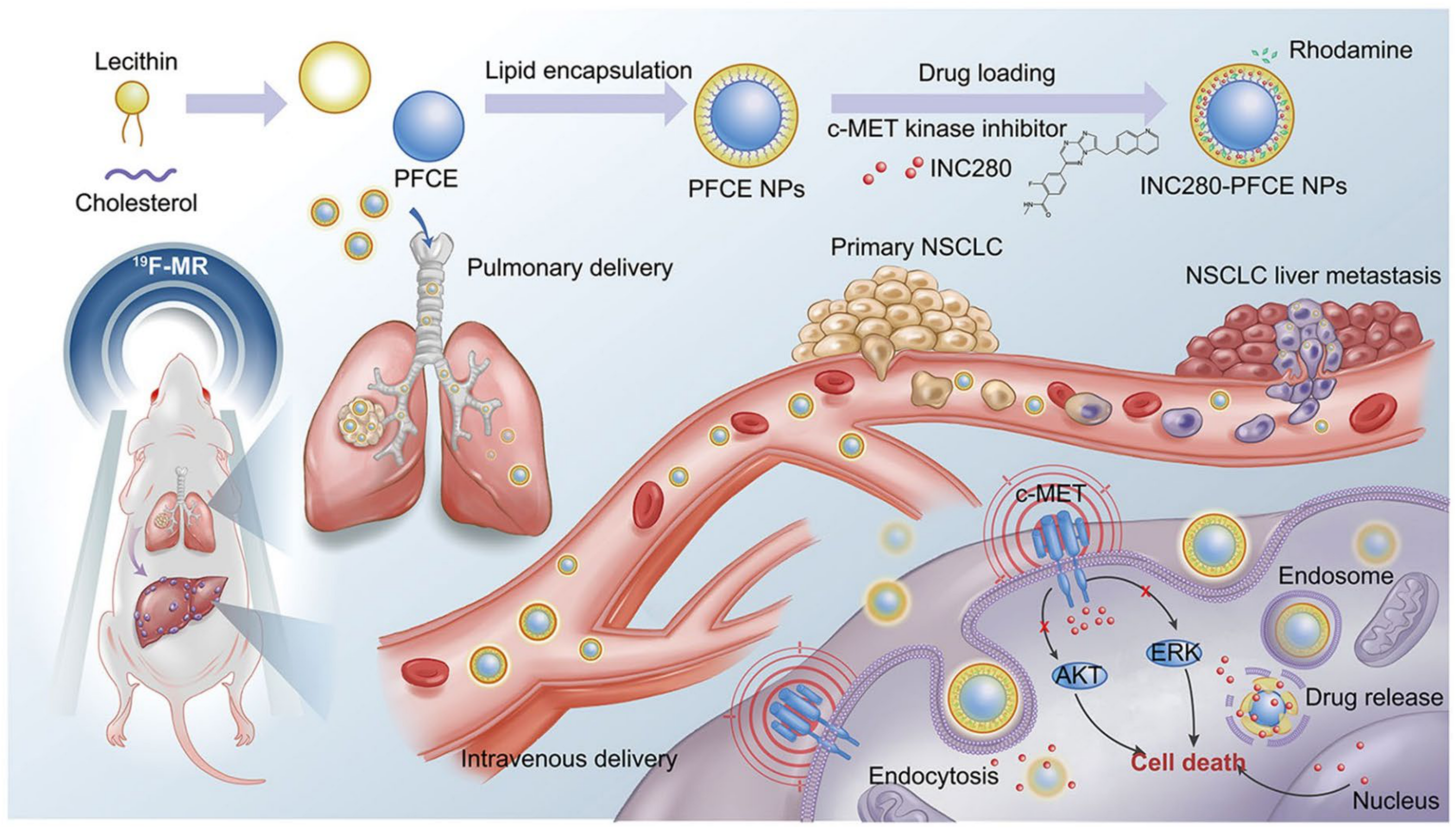 Molecules 29 03828 g005