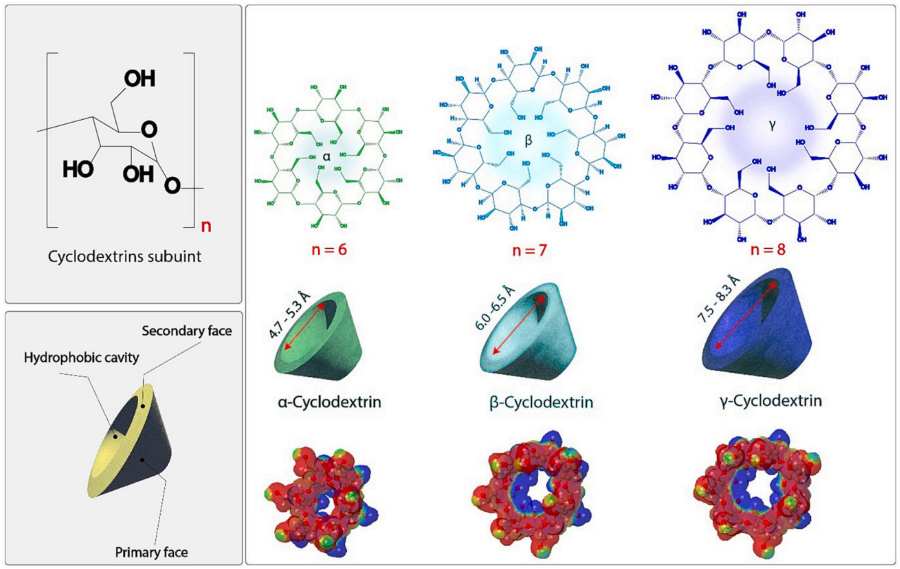 Molecules 29 03828 g006