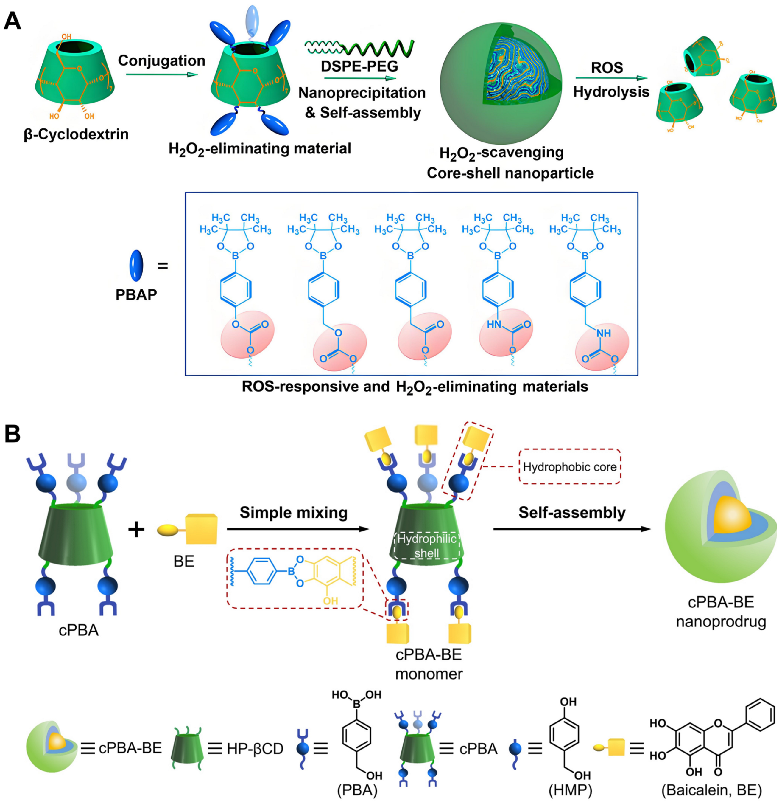 Molecules 29 03828 g007