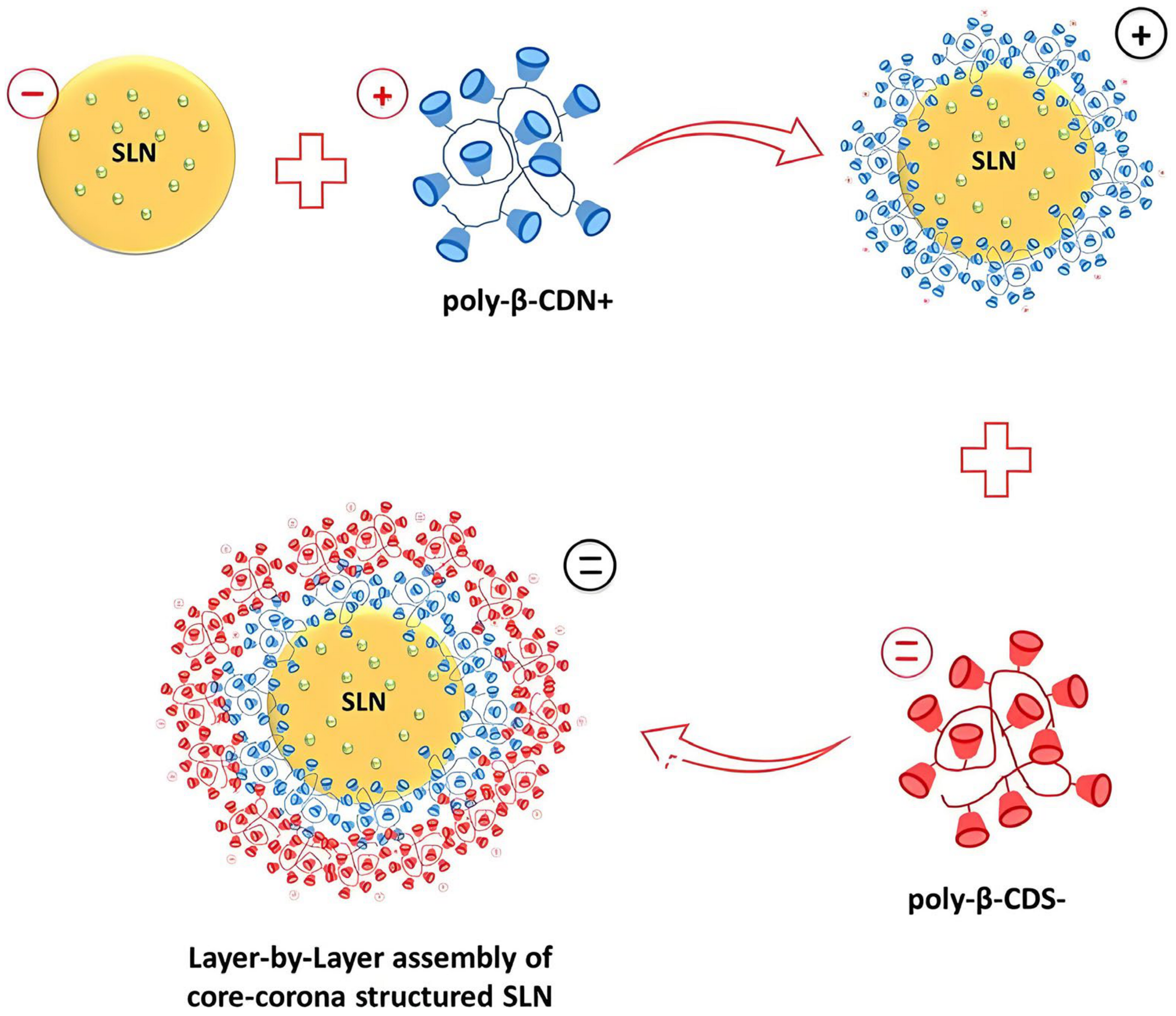 Molecules 29 03828 g008