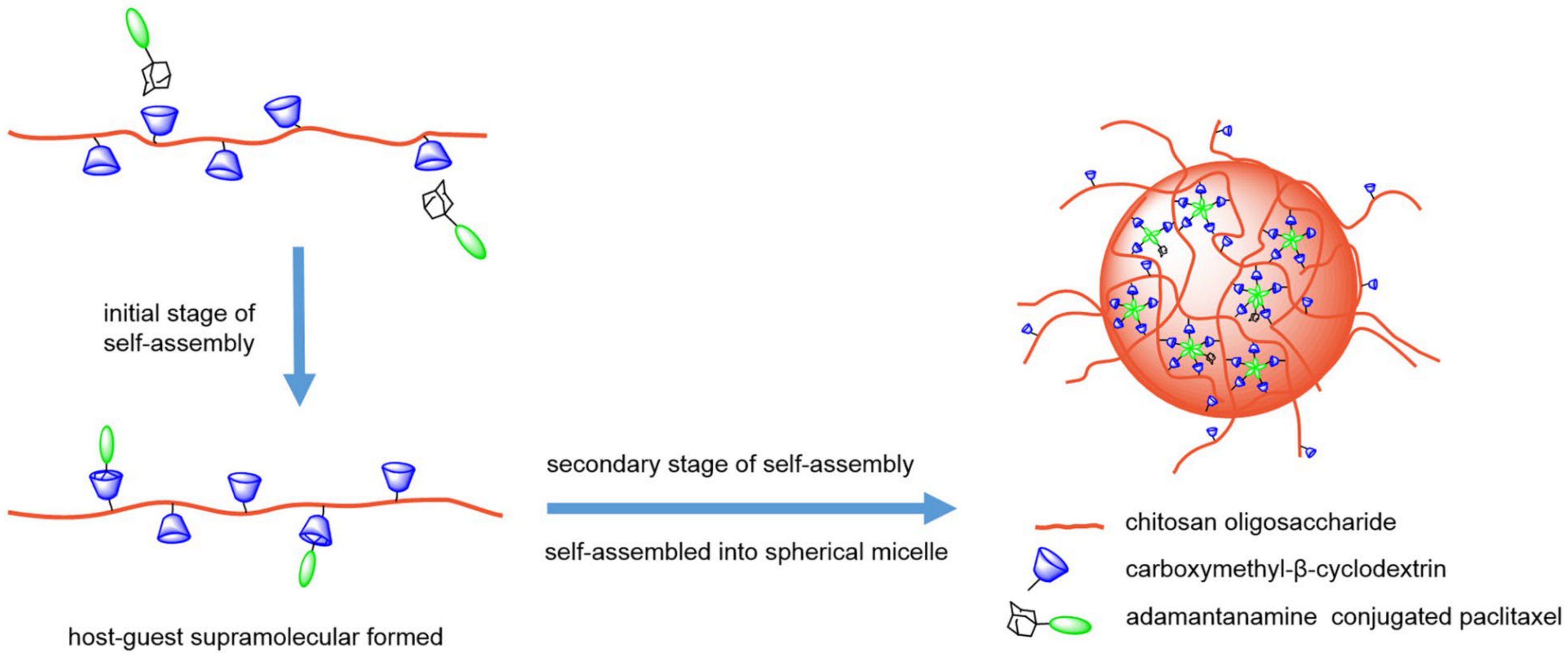 Molecules 29 03828 g009