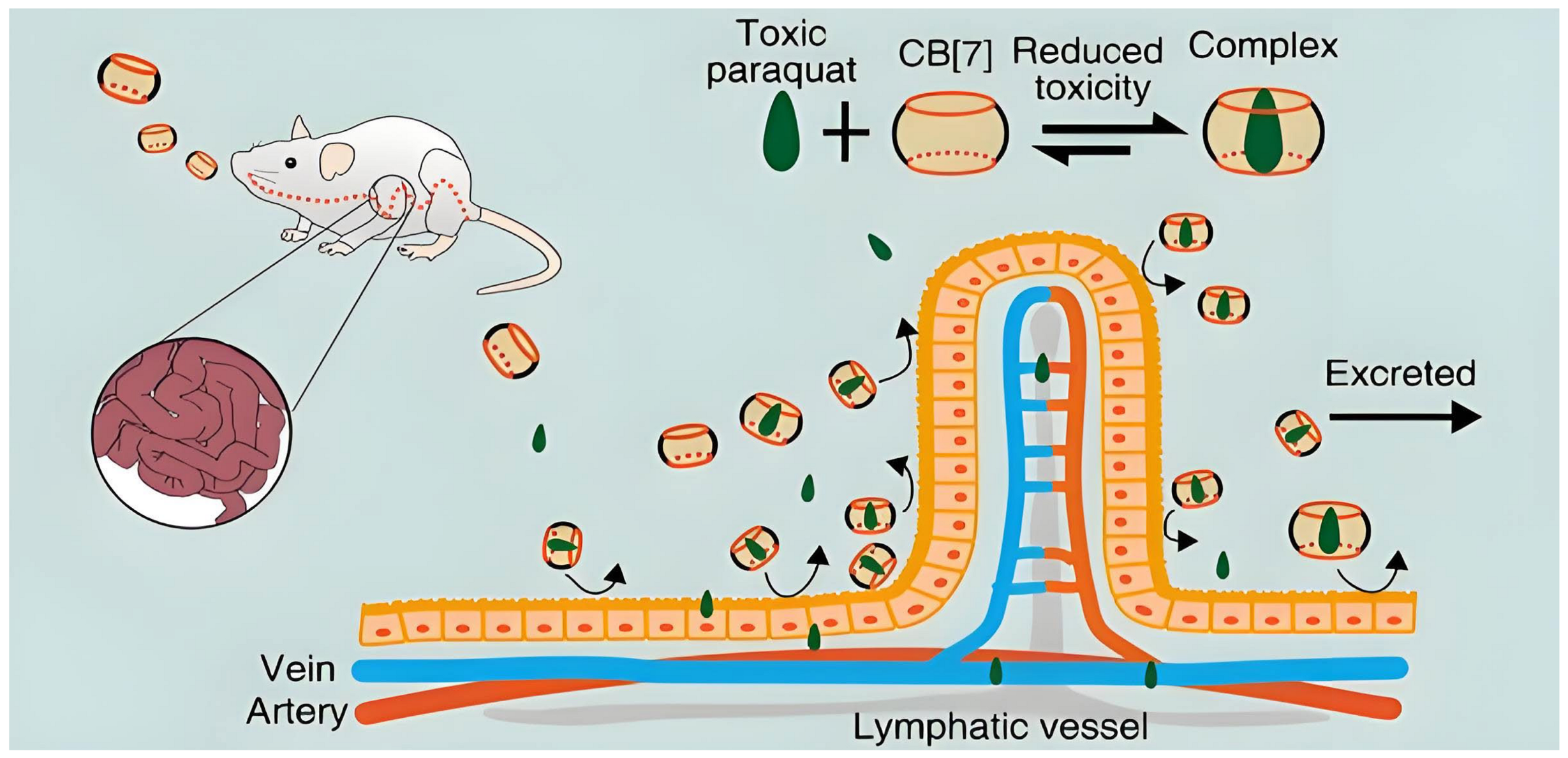 Molecules 29 03828 g011