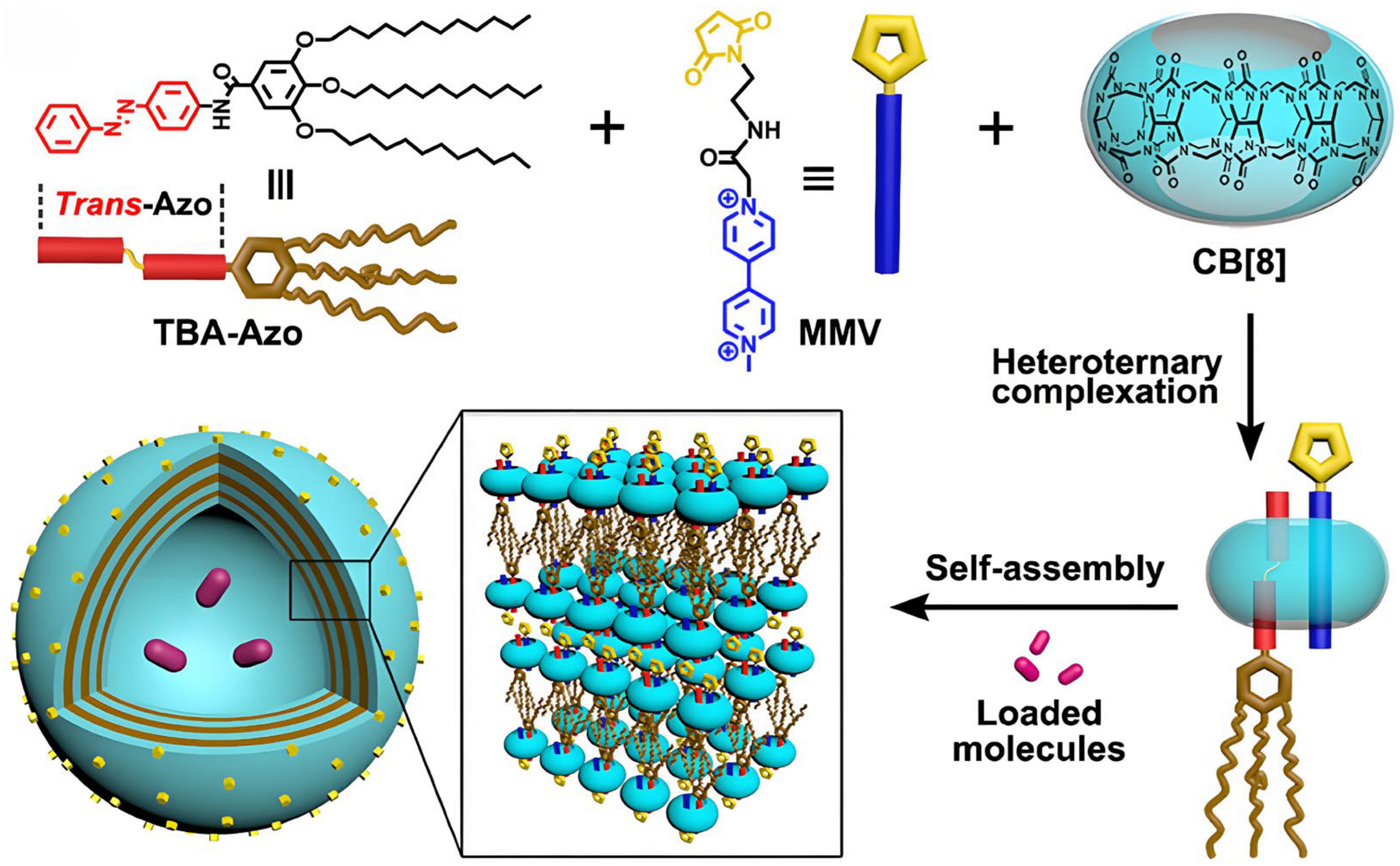 Molecules 29 03828 g012