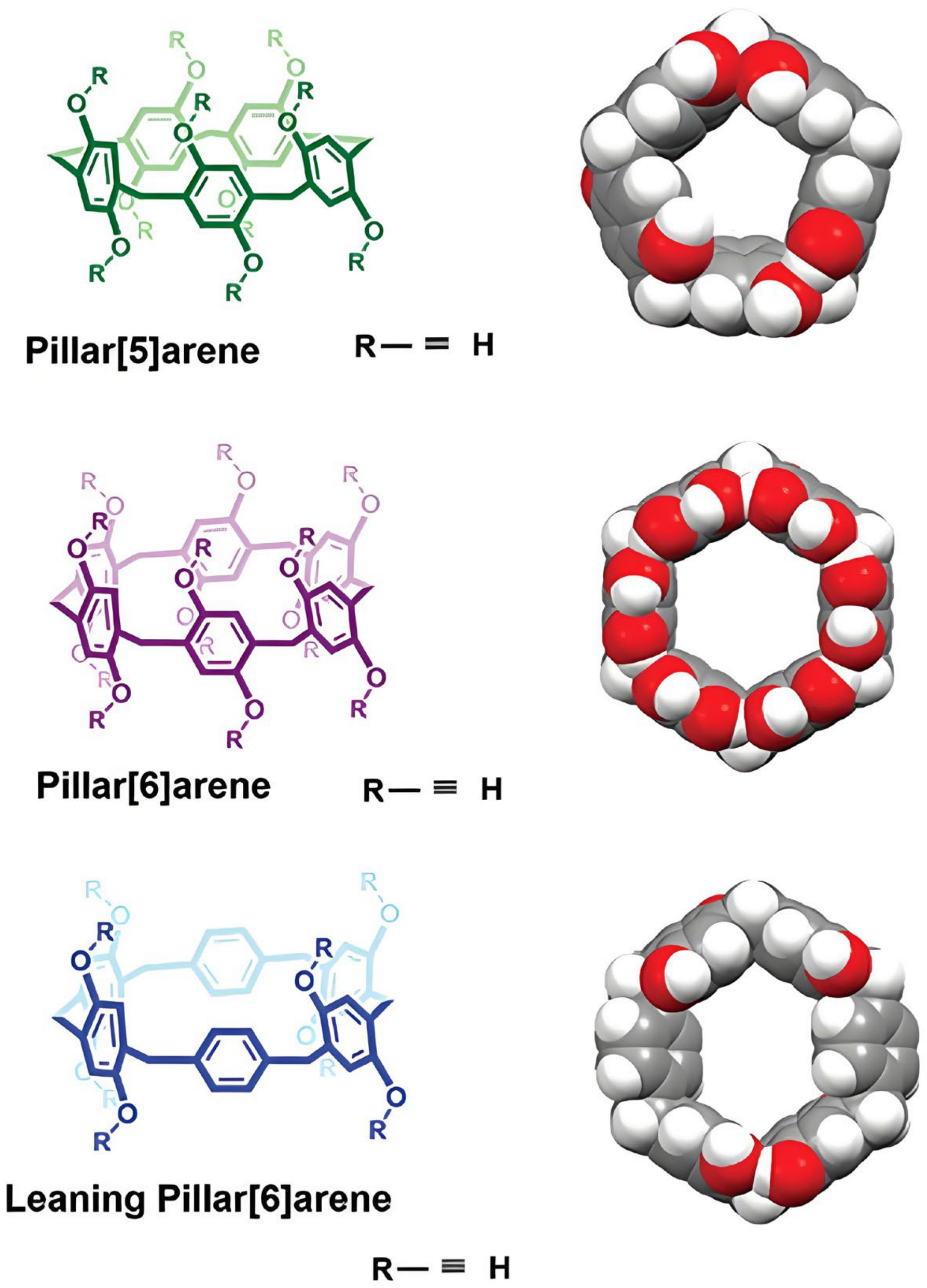 Molecules 29 03828 g017